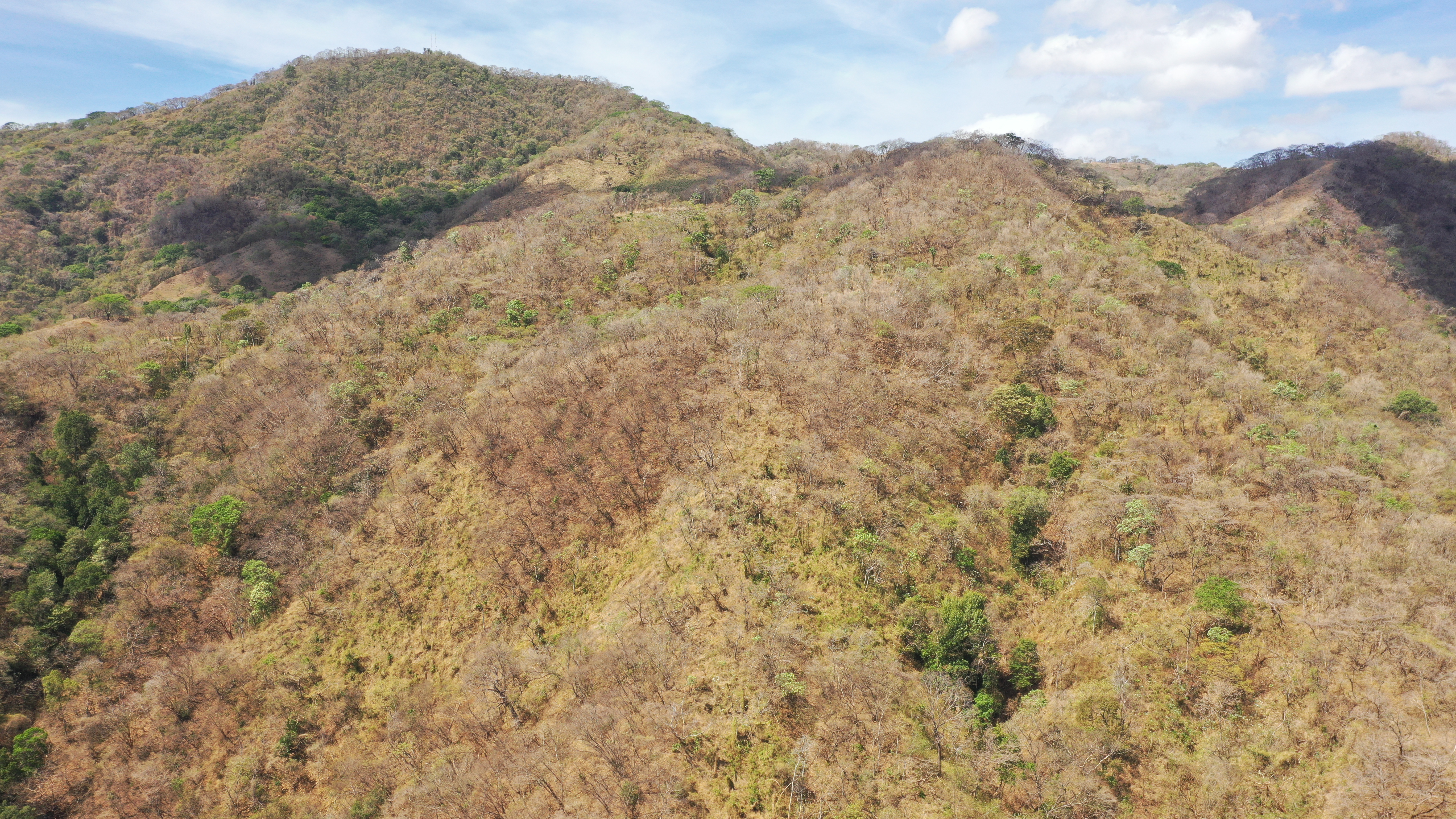 0 bed Land For Sale in Nicoya Peninsula, Guanacaste - thumb 15