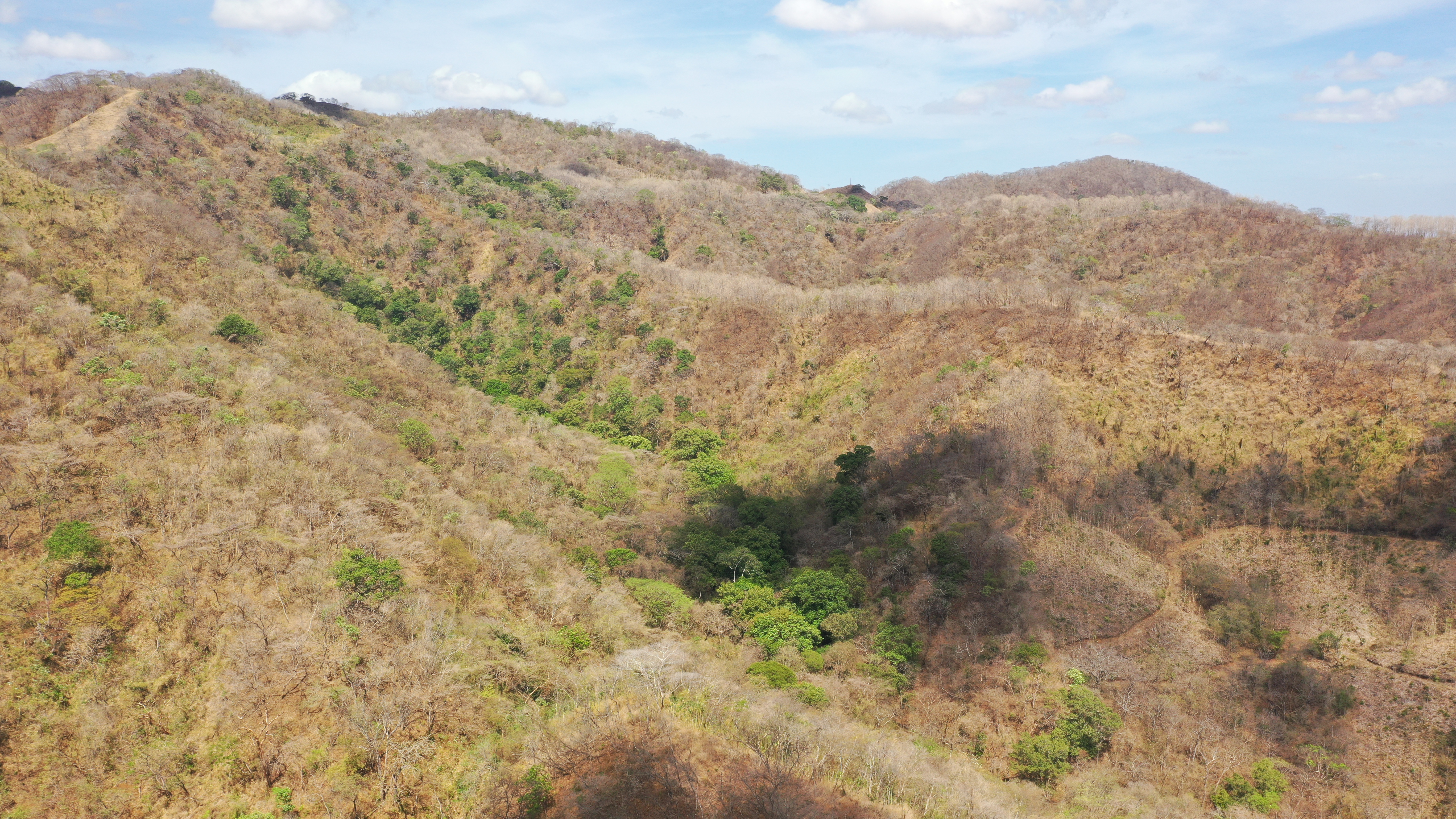 0 bed Land For Sale in Nicoya Peninsula, Guanacaste - thumb 13