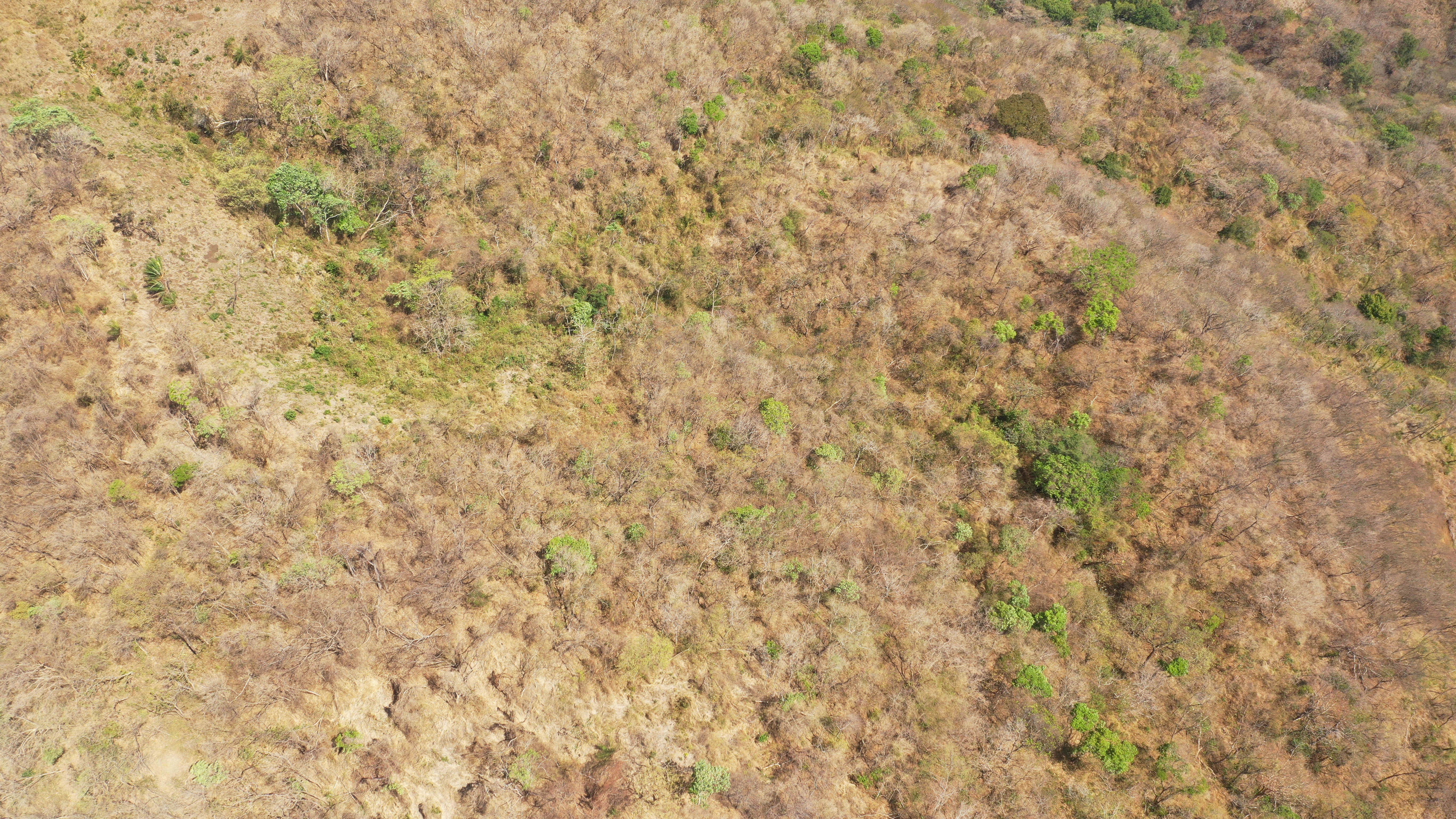 0 bed Land For Sale in Nicoya Peninsula, Guanacaste - thumb 6