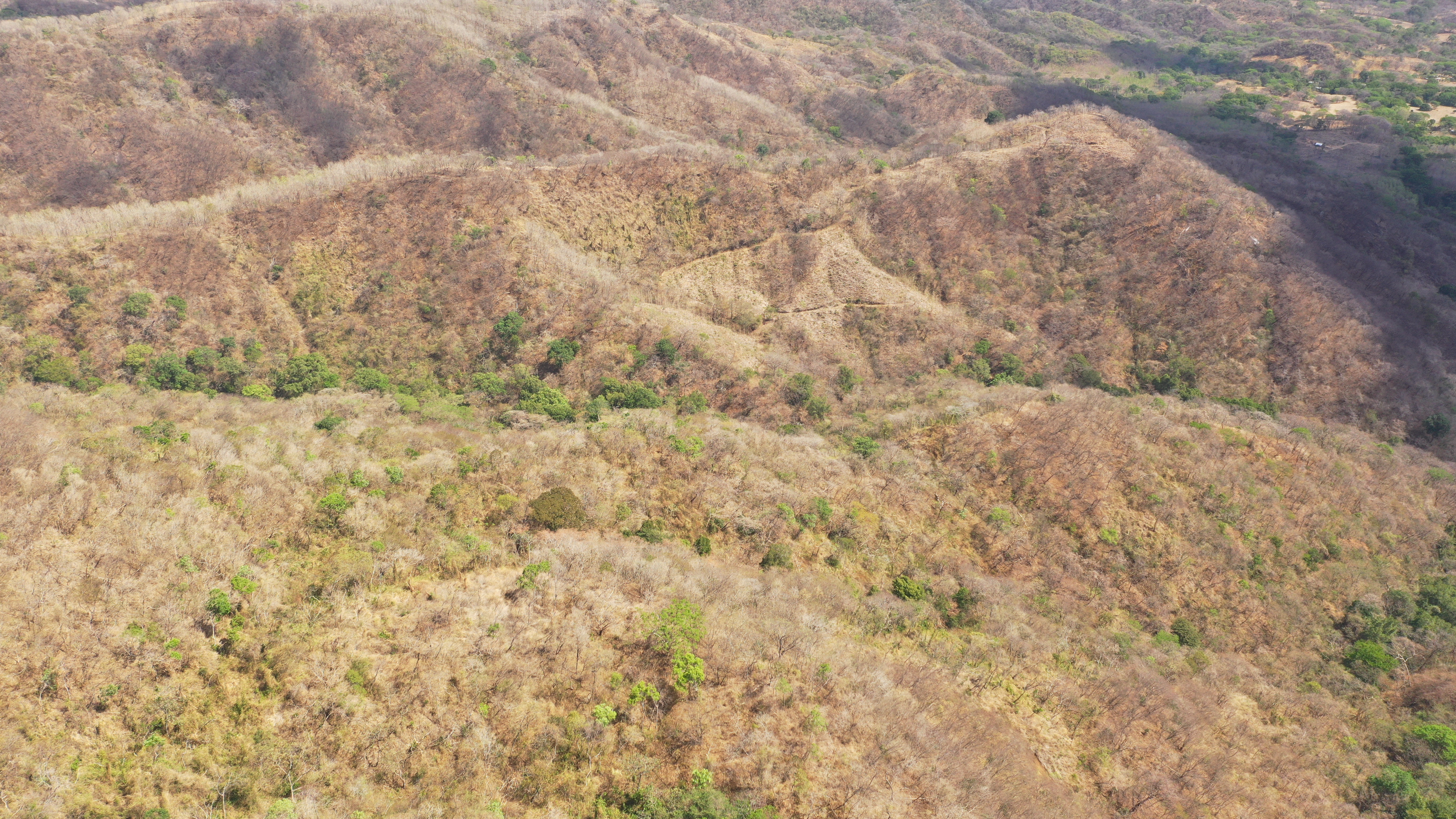 0 bed Land For Sale in Nicoya Peninsula, Guanacaste - thumb 4