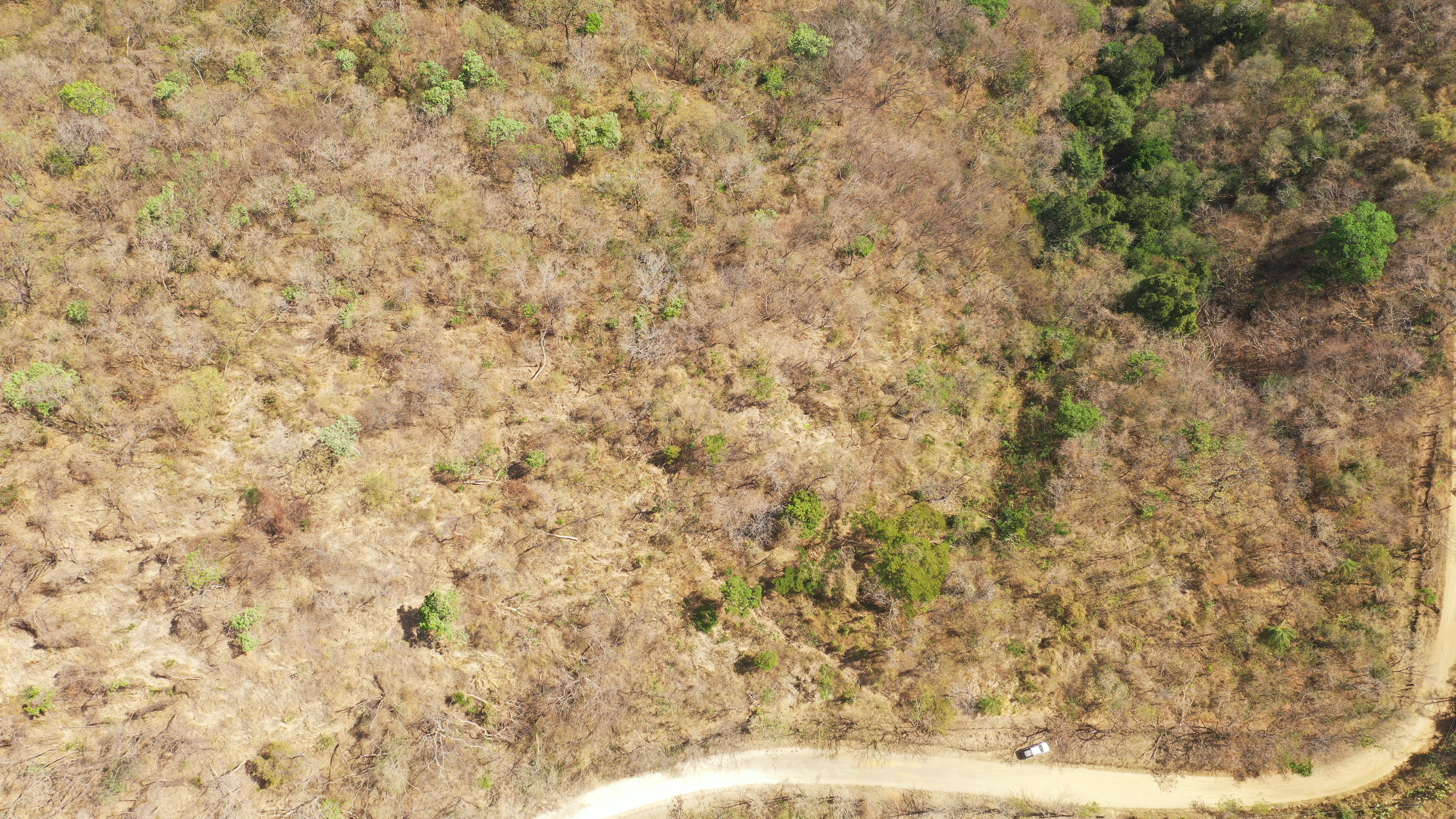 0 bed Land For Sale in Nicoya Peninsula, Guanacaste - thumb 2