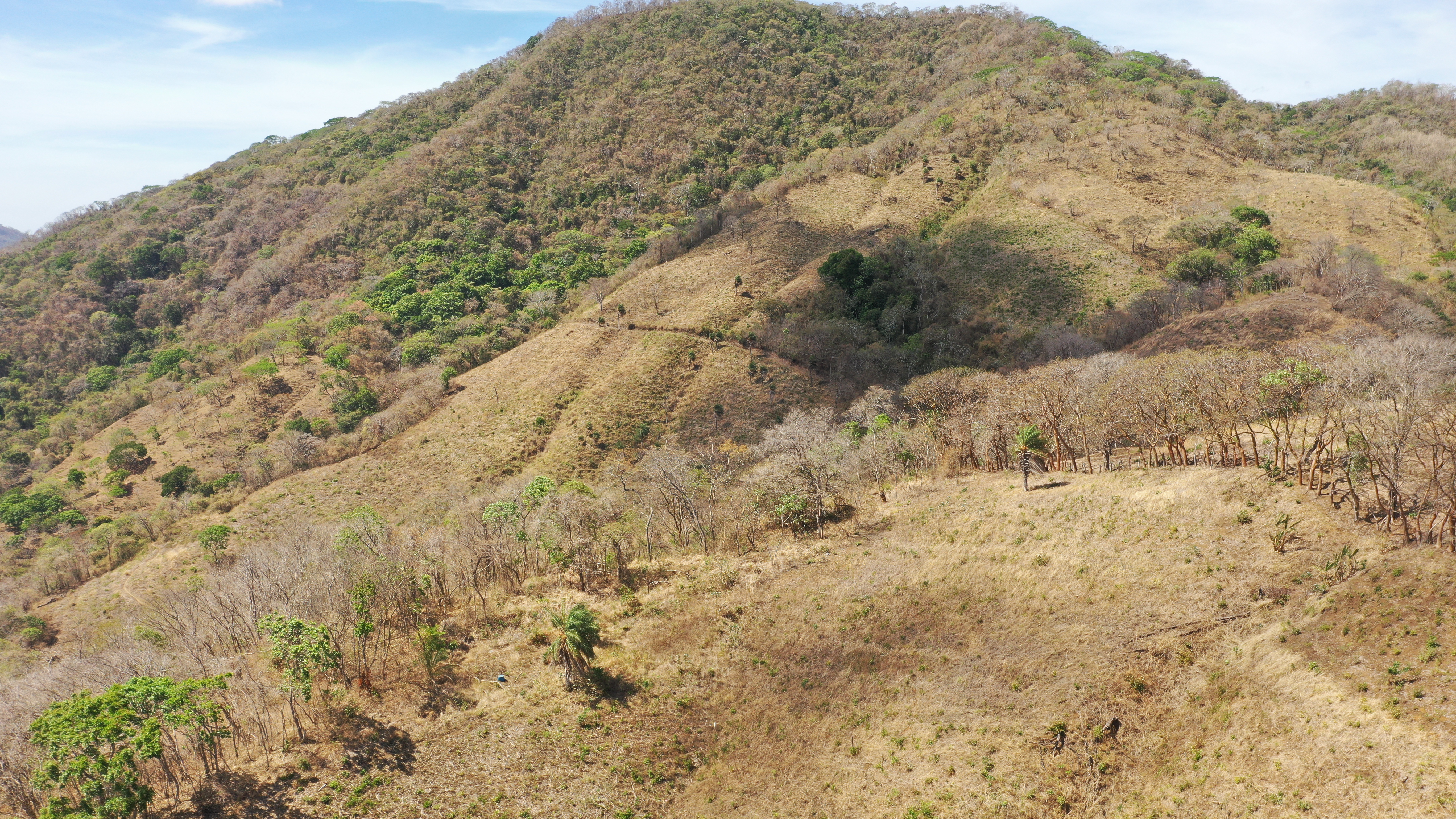 0 bed Land For Sale in Nicoya Peninsula, Guanacaste - thumb 25
