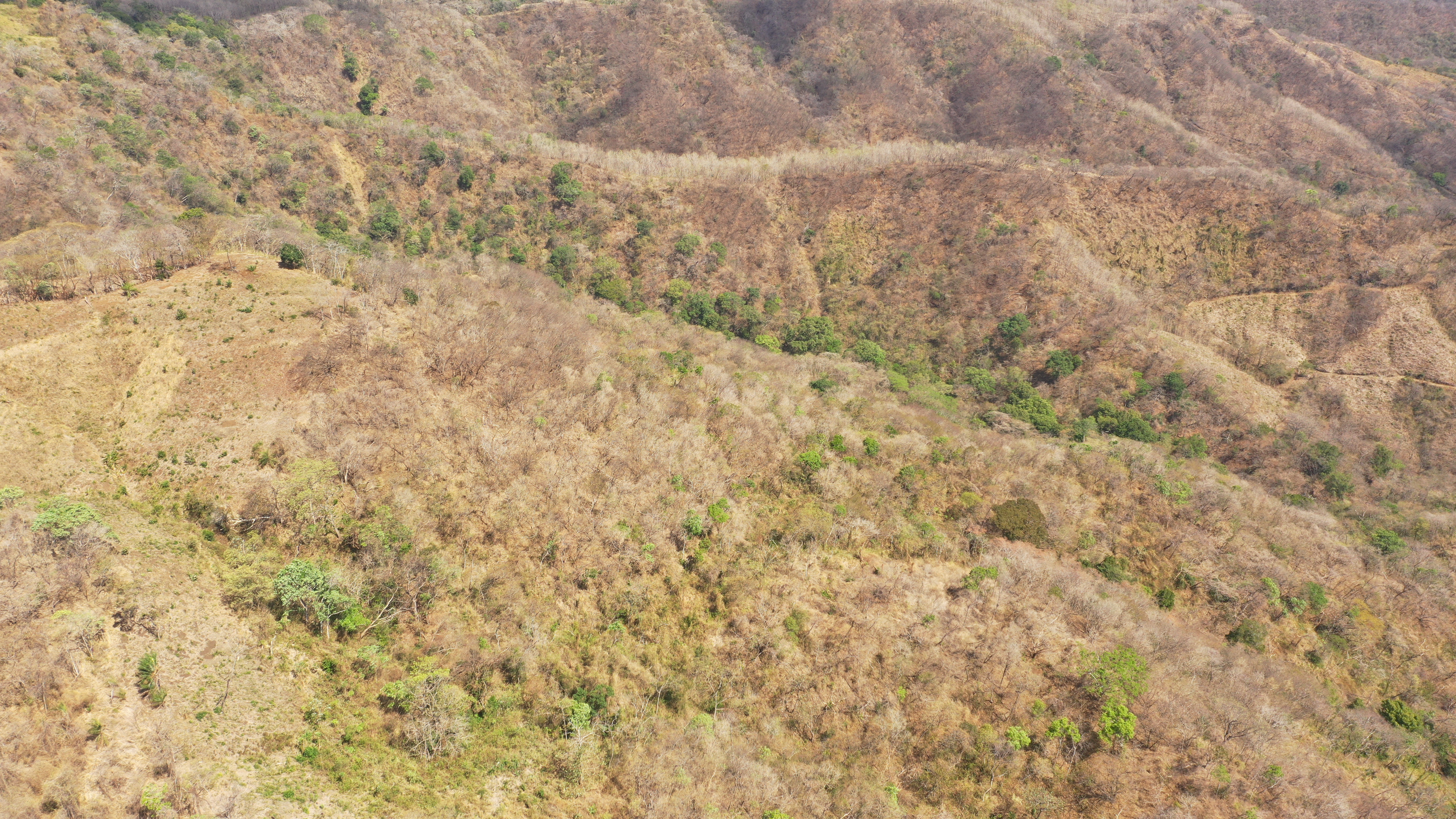 0 bed Land For Sale in Nicoya Peninsula, Guanacaste - thumb 5