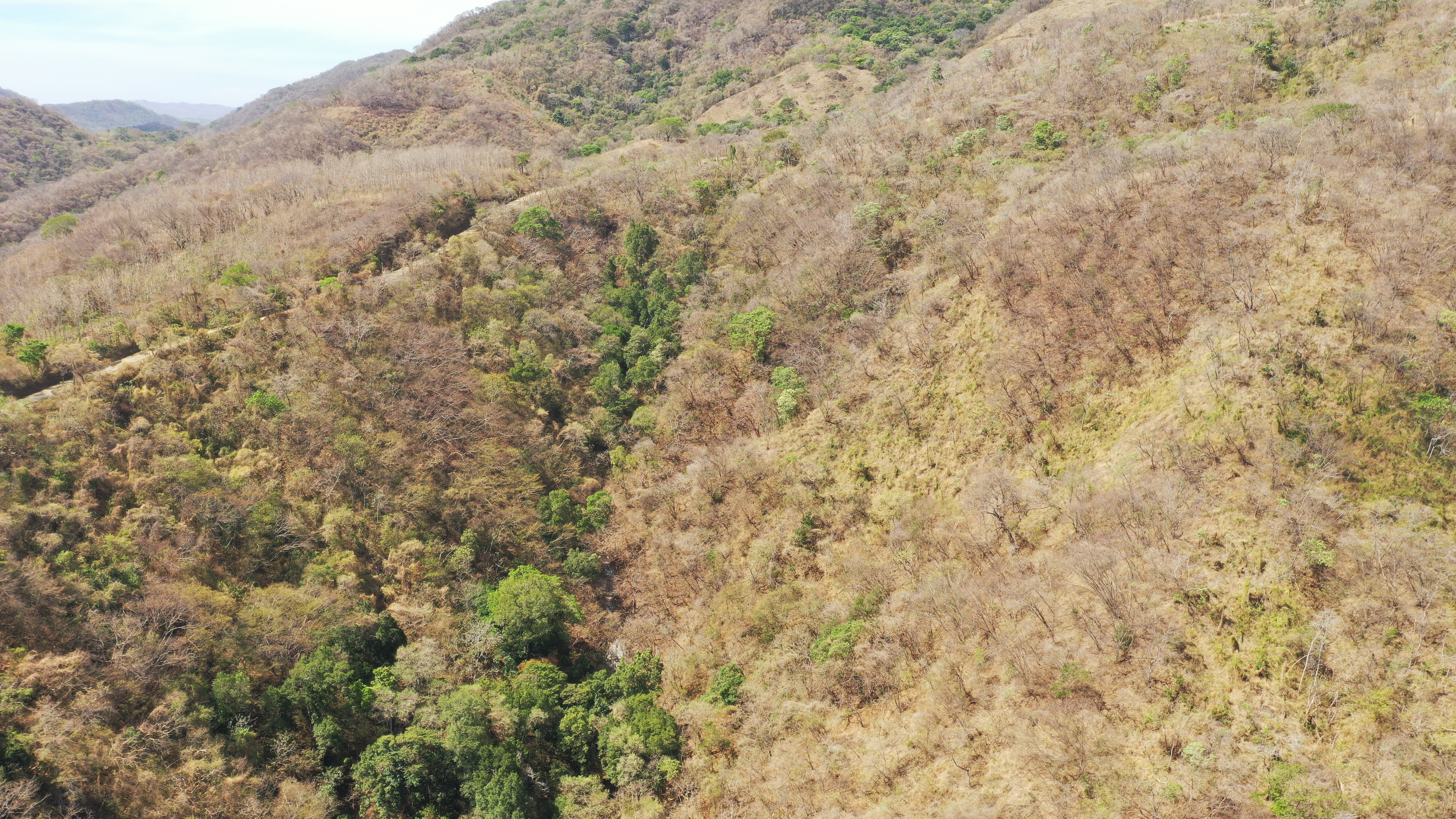 0 bed Land For Sale in Nicoya Peninsula, Guanacaste - thumb 10
