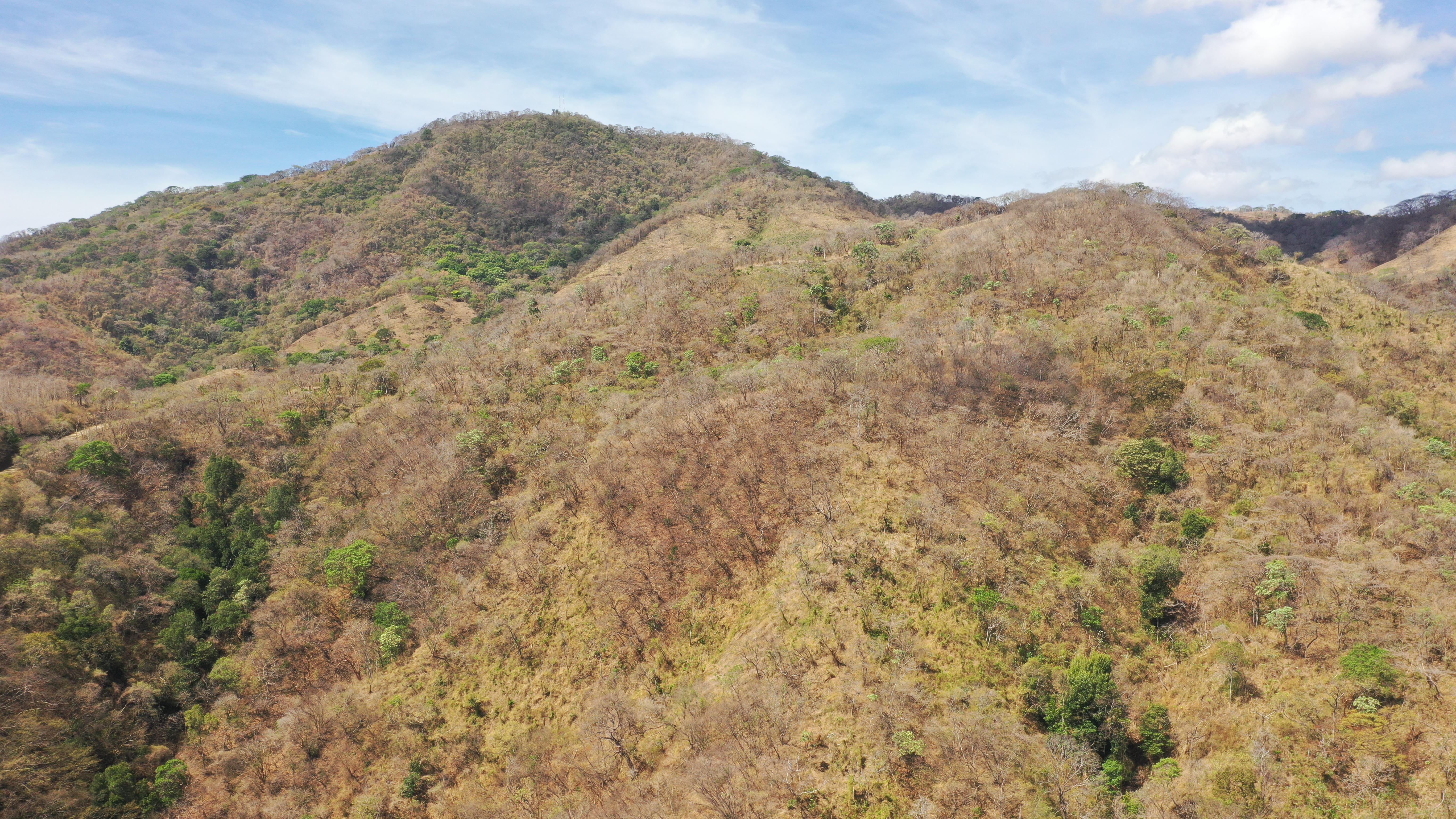0 bed Land For Sale in Nicoya Peninsula, Guanacaste - thumb 11