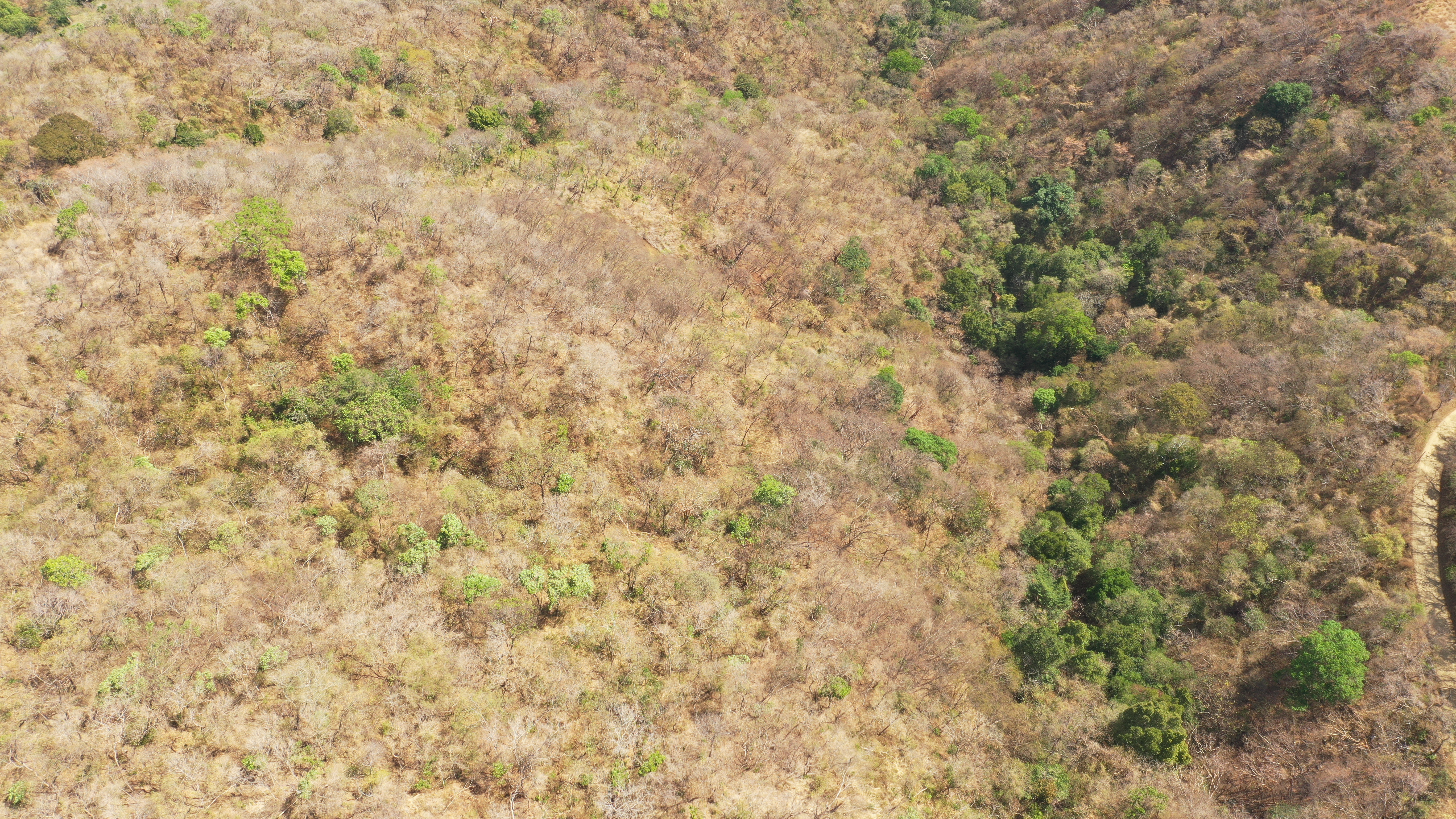 0 bed Land For Sale in Nicoya Peninsula, Guanacaste - thumb 3