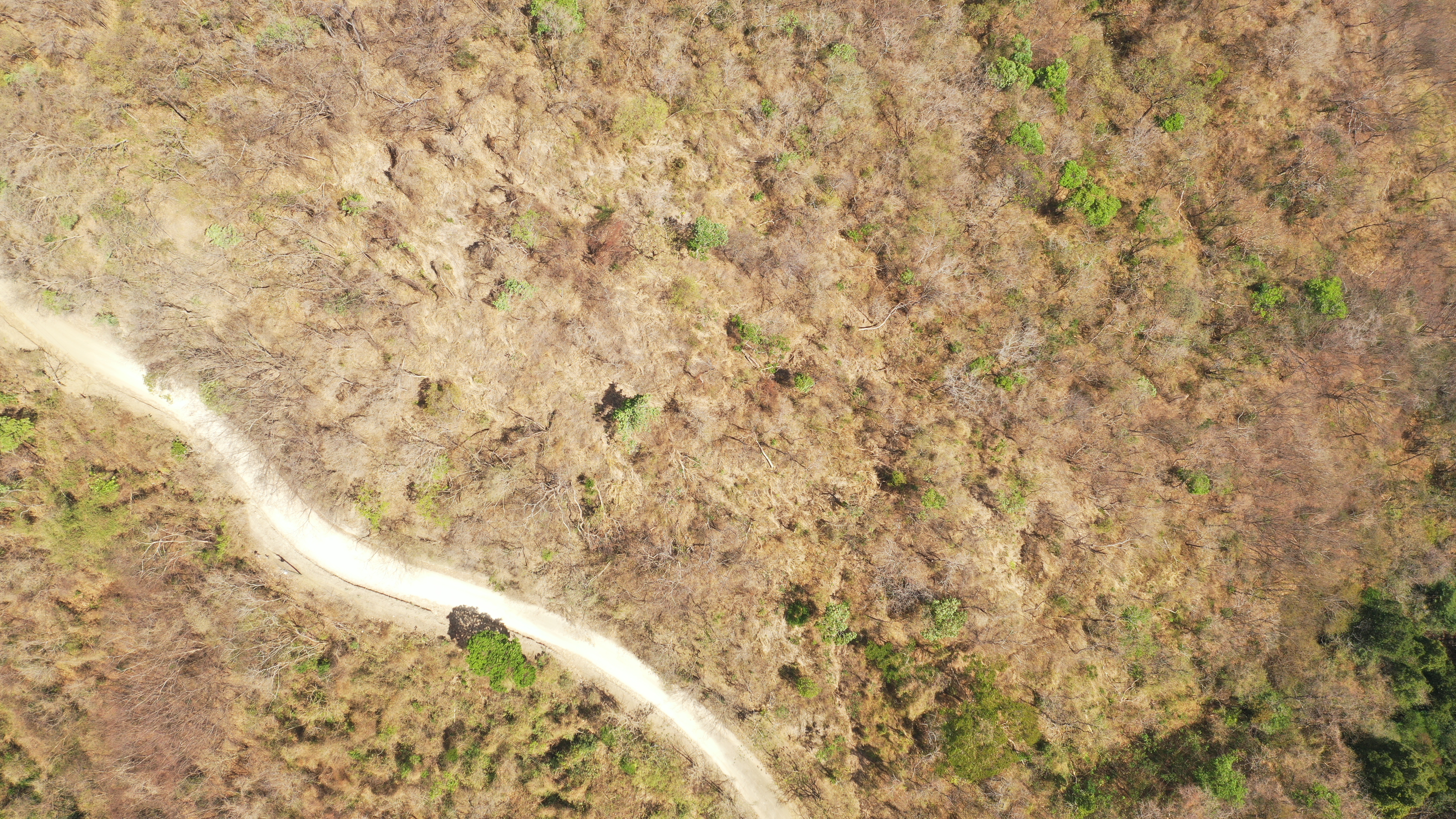 0 bed Land For Sale in Nicoya Peninsula, Guanacaste - thumb 7