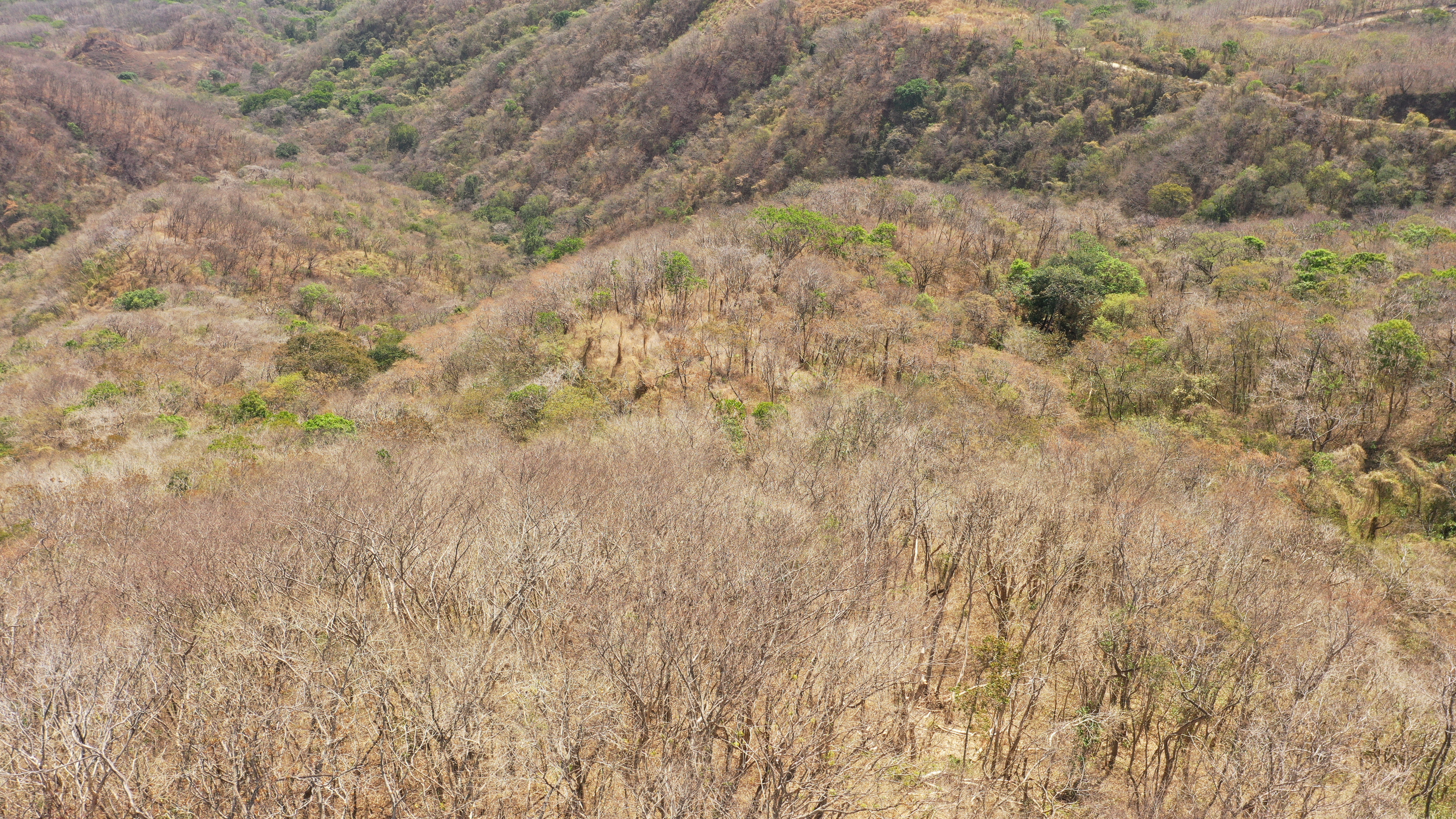 0 bed Land For Sale in Nicoya Peninsula, Guanacaste - thumb 18