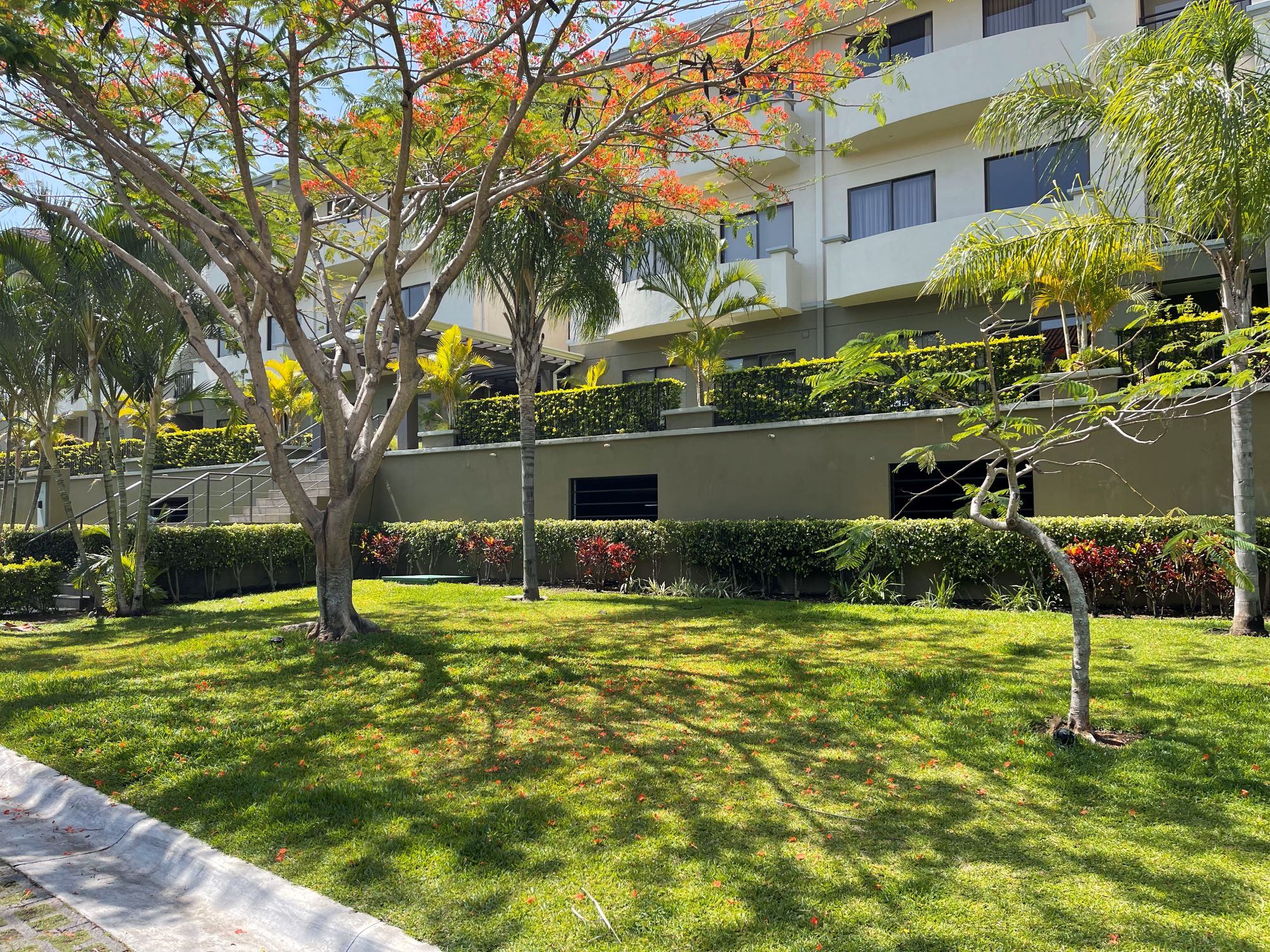 2 bed Apartment For Rent in Santa Ana, San Jose - thumb 15