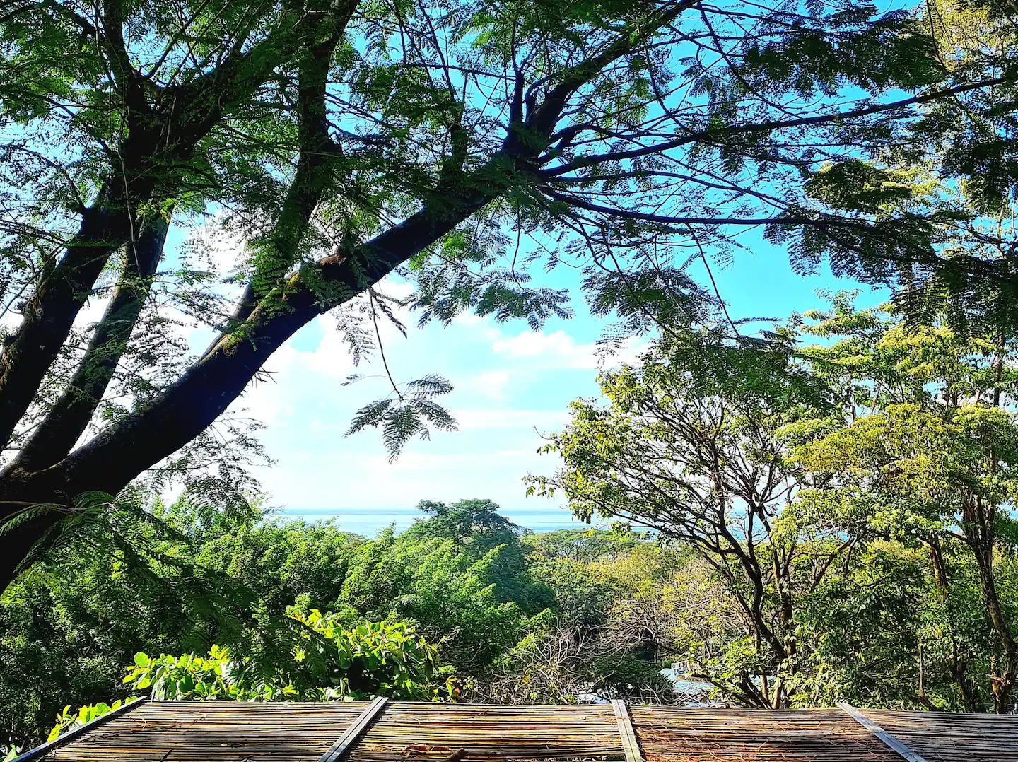 4 bed Single Family Homes For Sale in Santa Teresa, Puntarenas - thumb 13