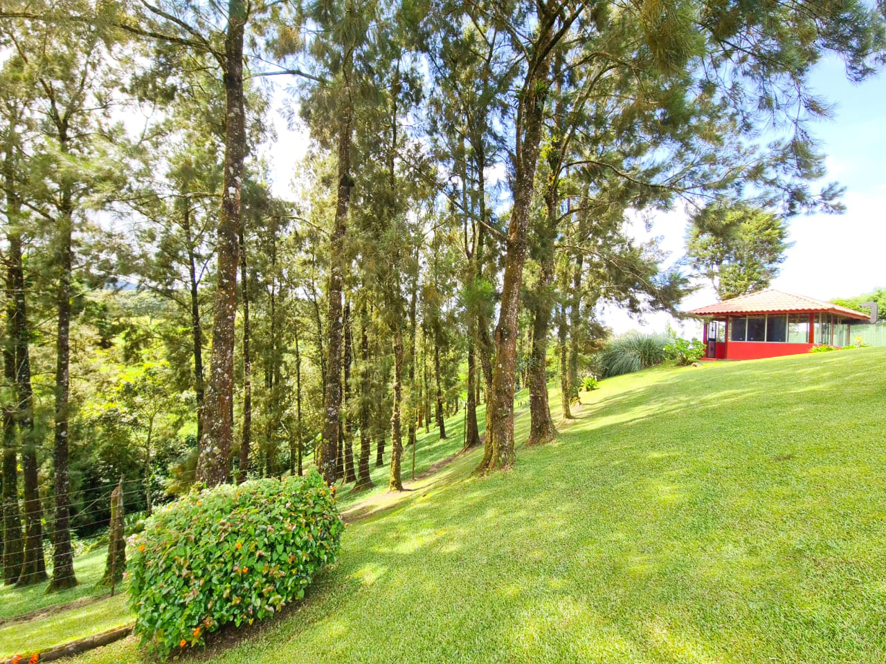 6 bed Single Family Homes For Sale in Coronado, San Jose - thumb 22