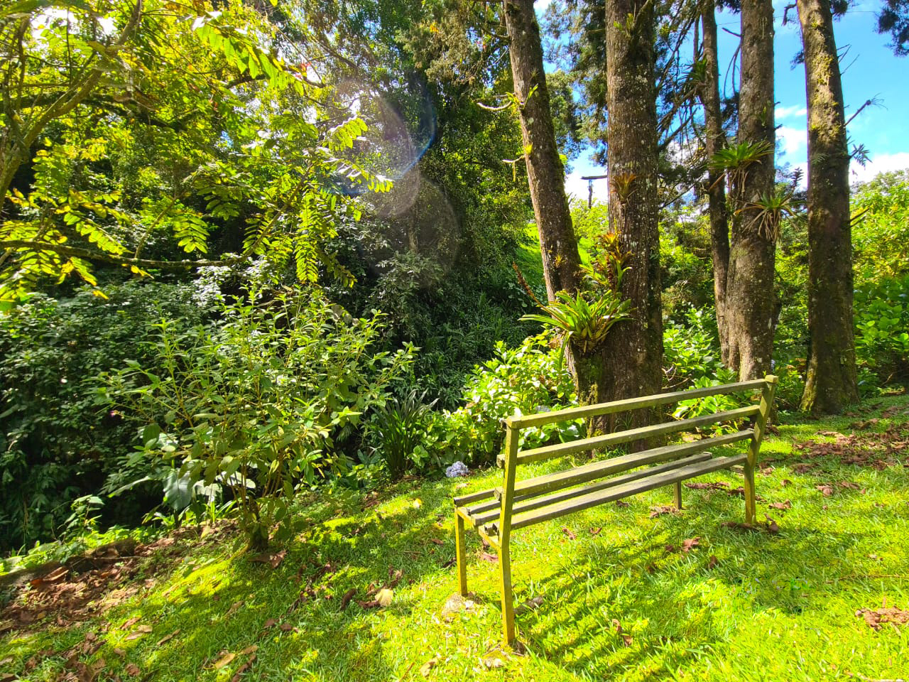 6 bed Single Family Homes For Sale in Coronado, San Jose - thumb 19