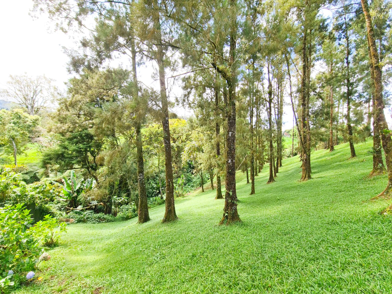 6 bed Single Family Homes For Sale in Coronado, San Jose - thumb 20