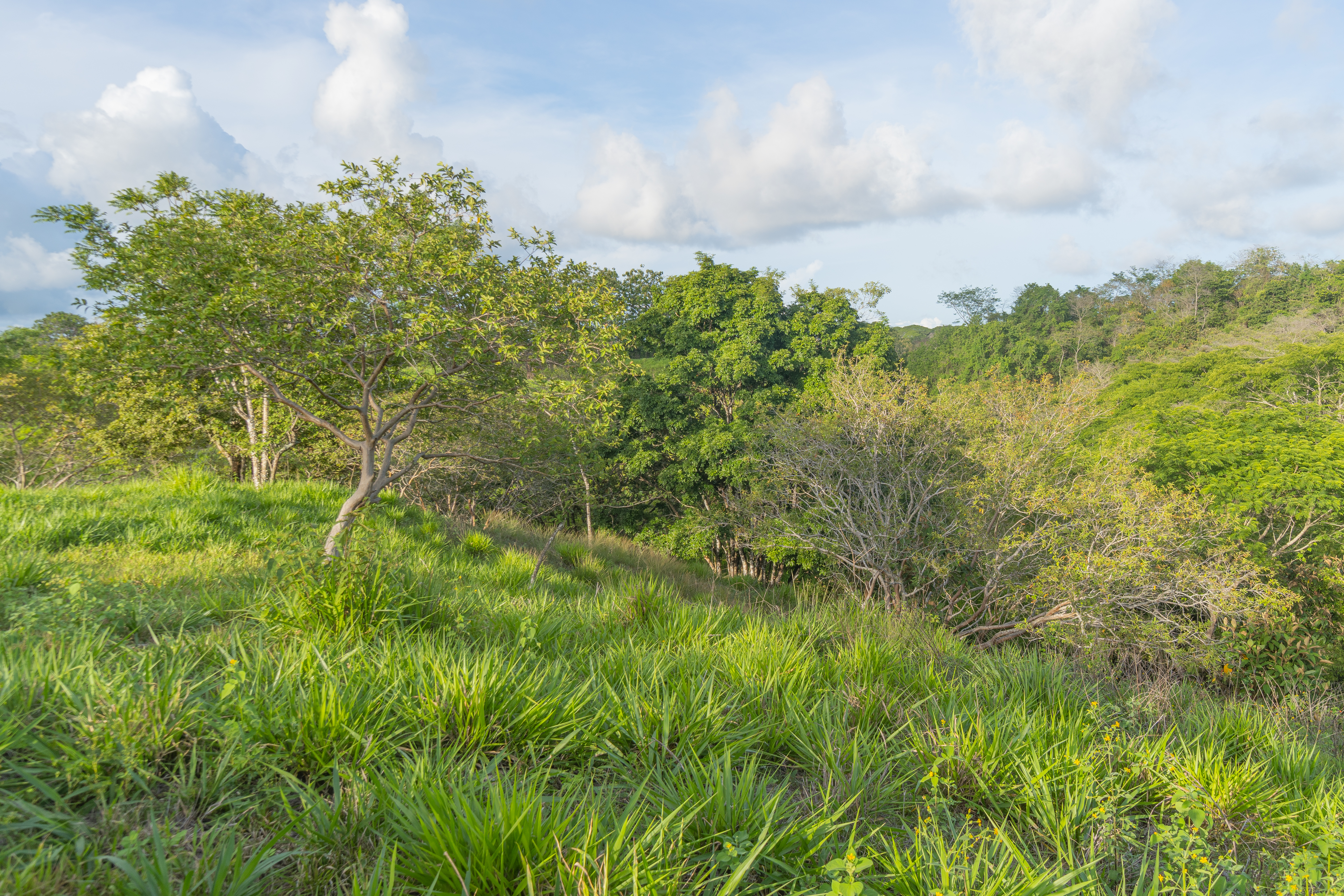 0 bed Land For Sale in Cobano, Puntarenas - thumb 5
