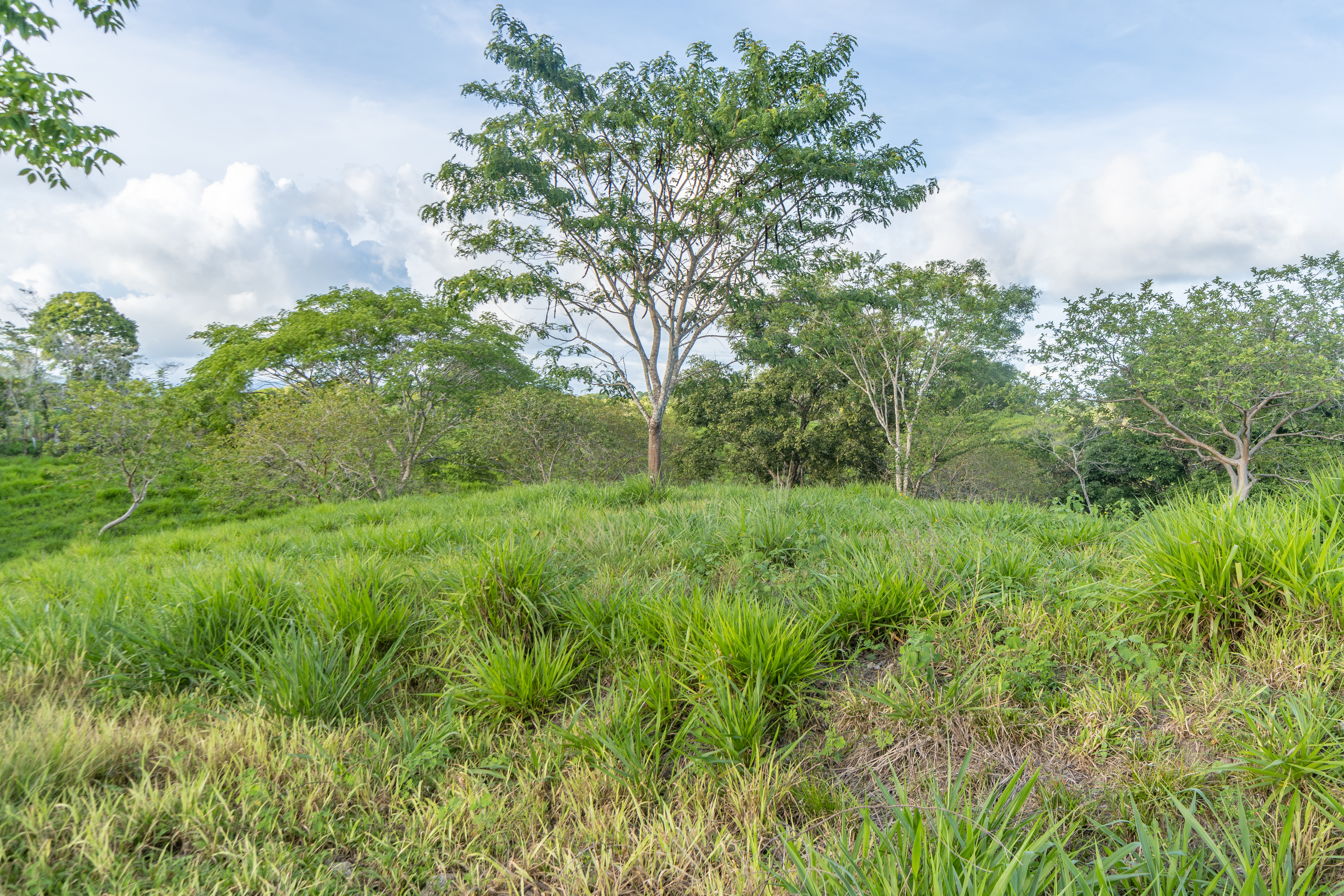 0 bed Land For Sale in Cobano, Puntarenas - thumb 6