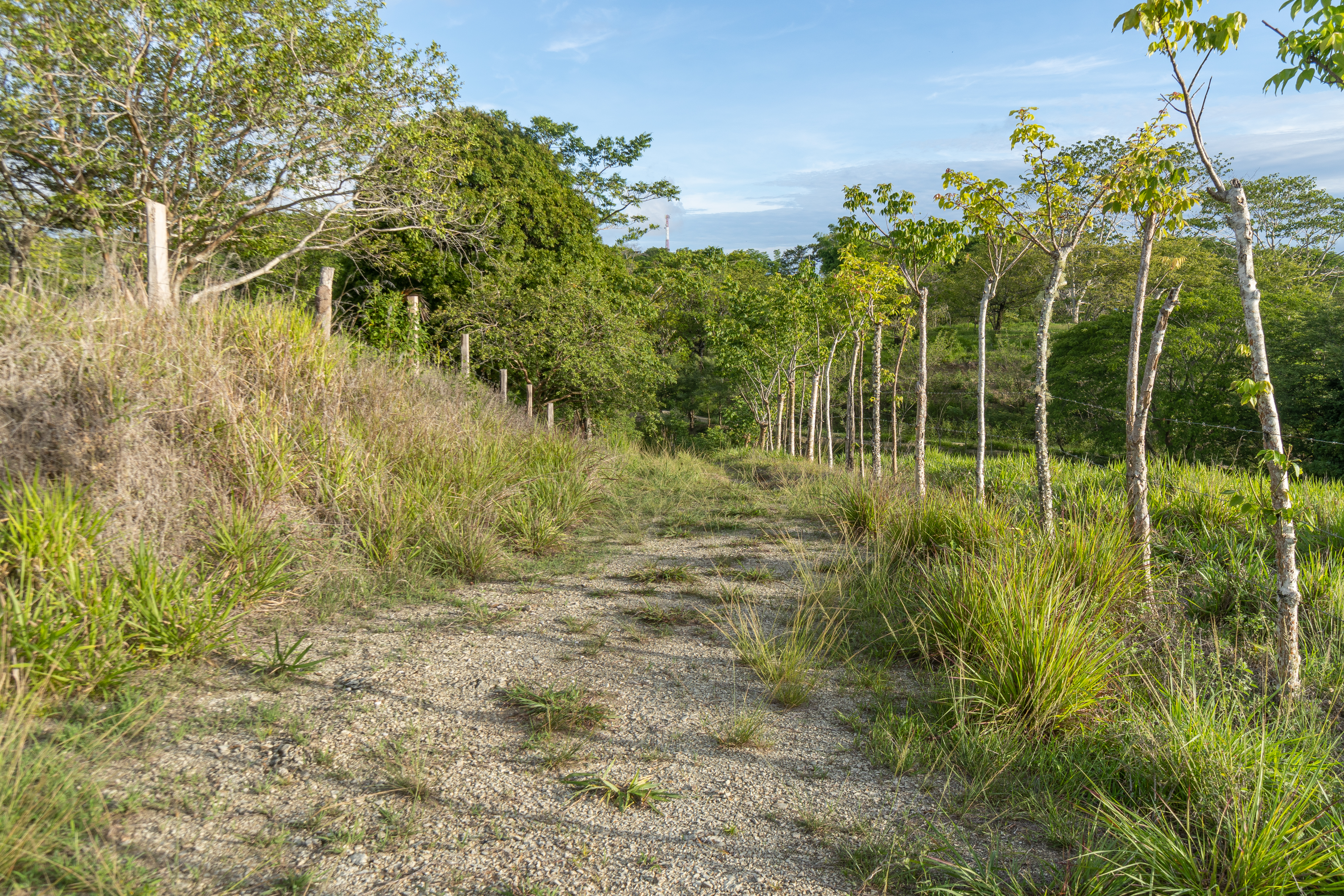 0 bed Land For Sale in Cobano, Puntarenas - thumb 3