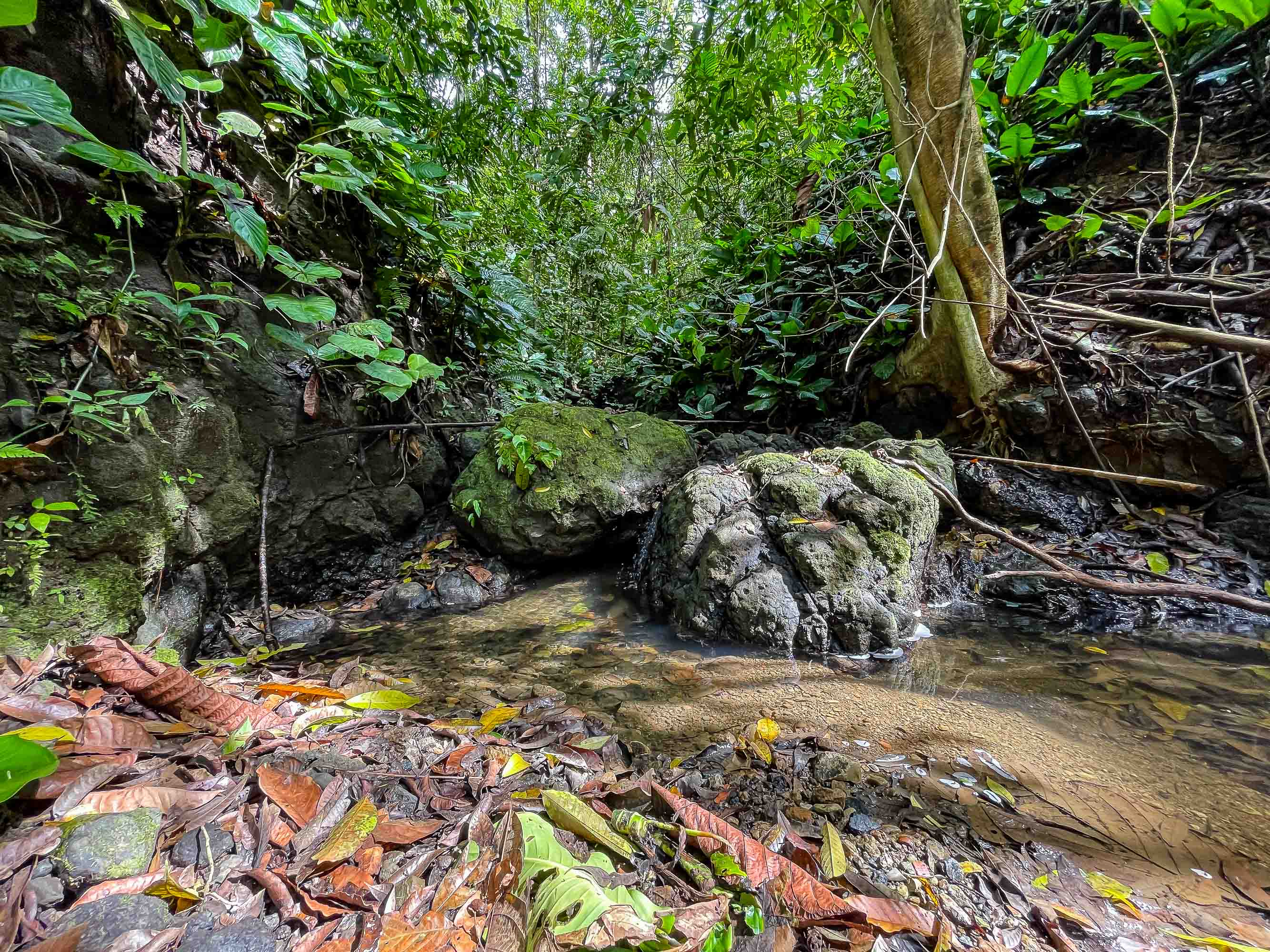 0 bed Land For Sale in Quepos, Puntarenas - thumb 4