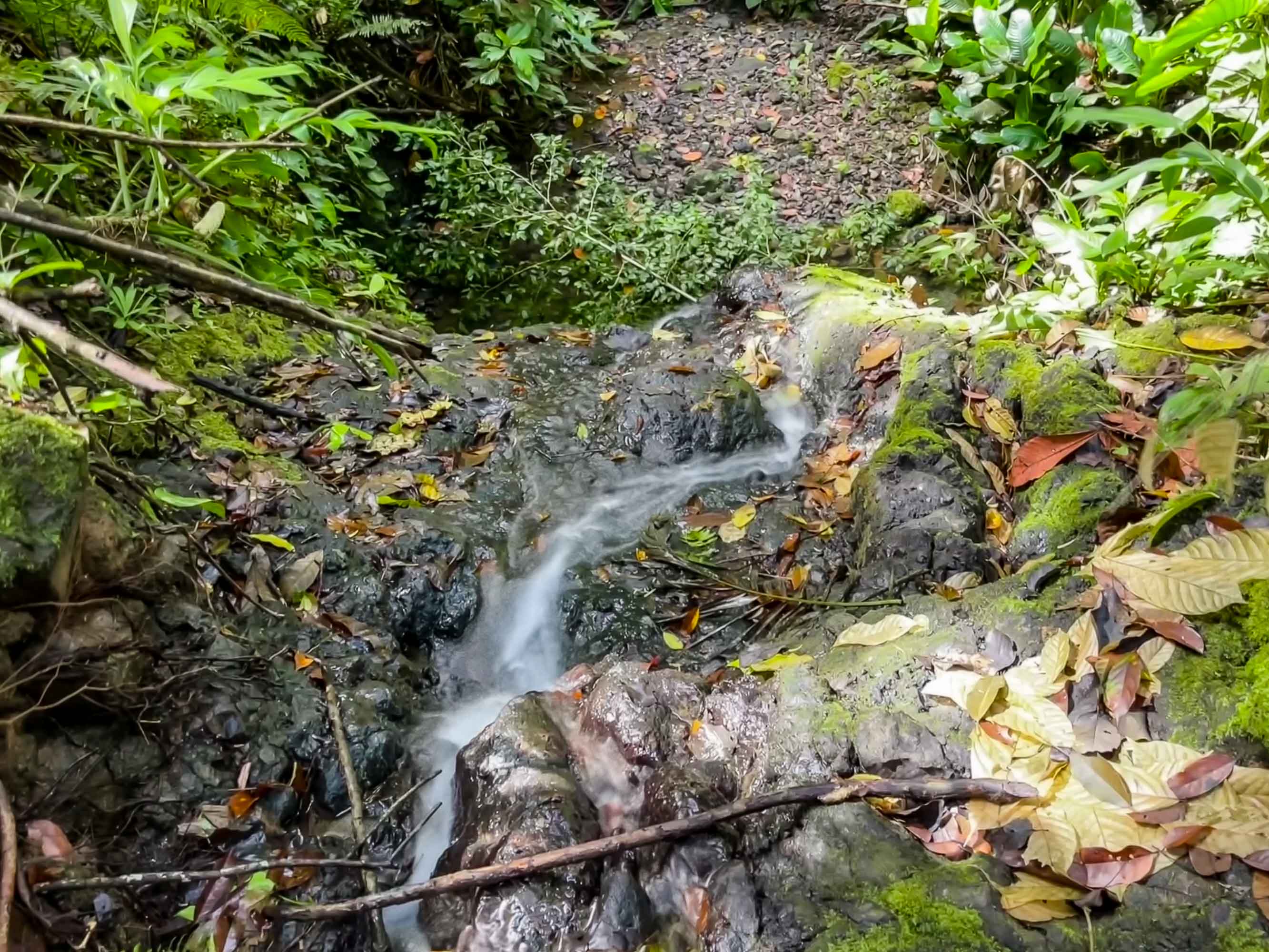 0 bed Land For Sale in Quepos, Puntarenas - thumb 1