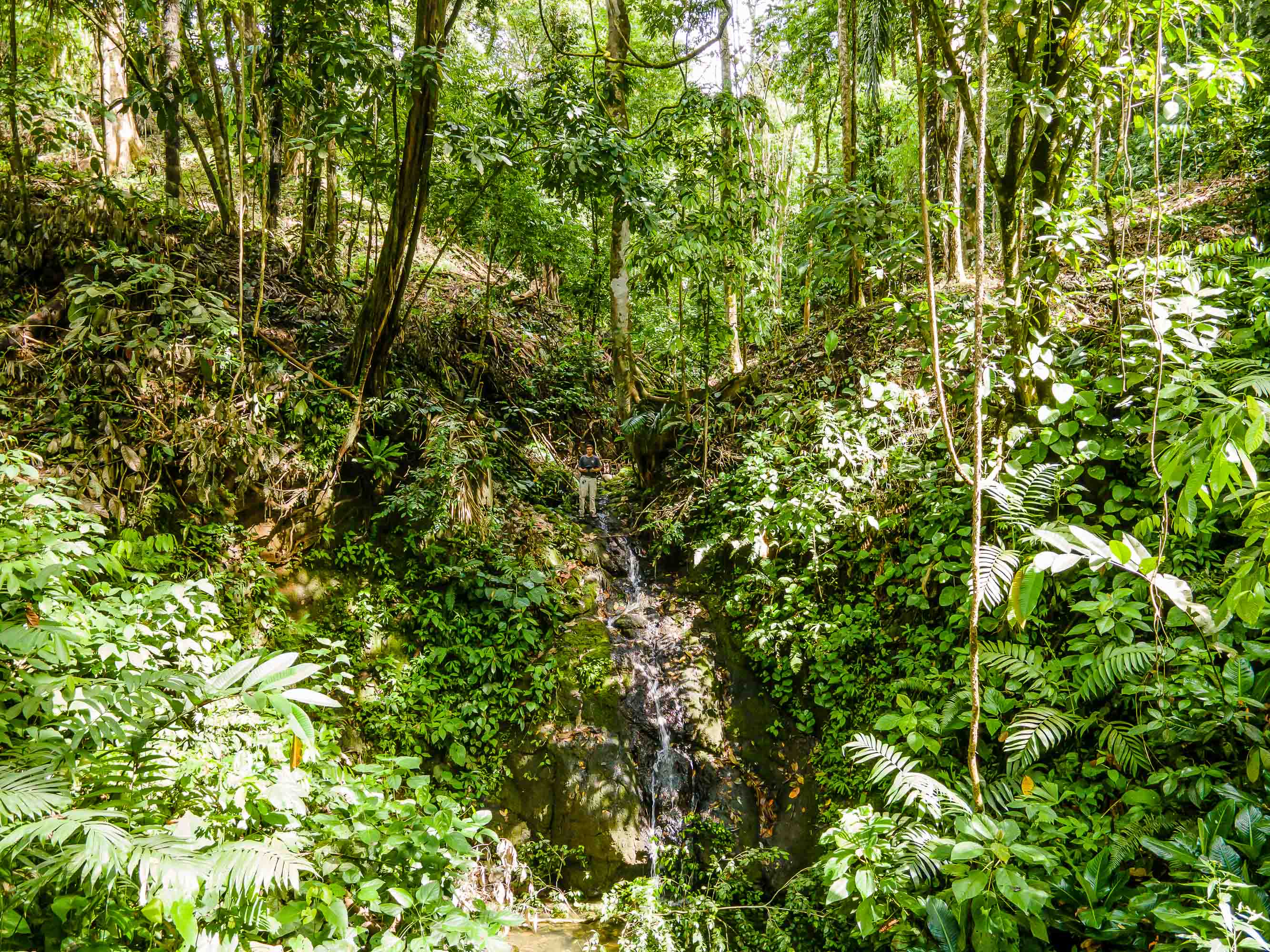 0 bed Land For Sale in Quepos, Puntarenas - thumb 13