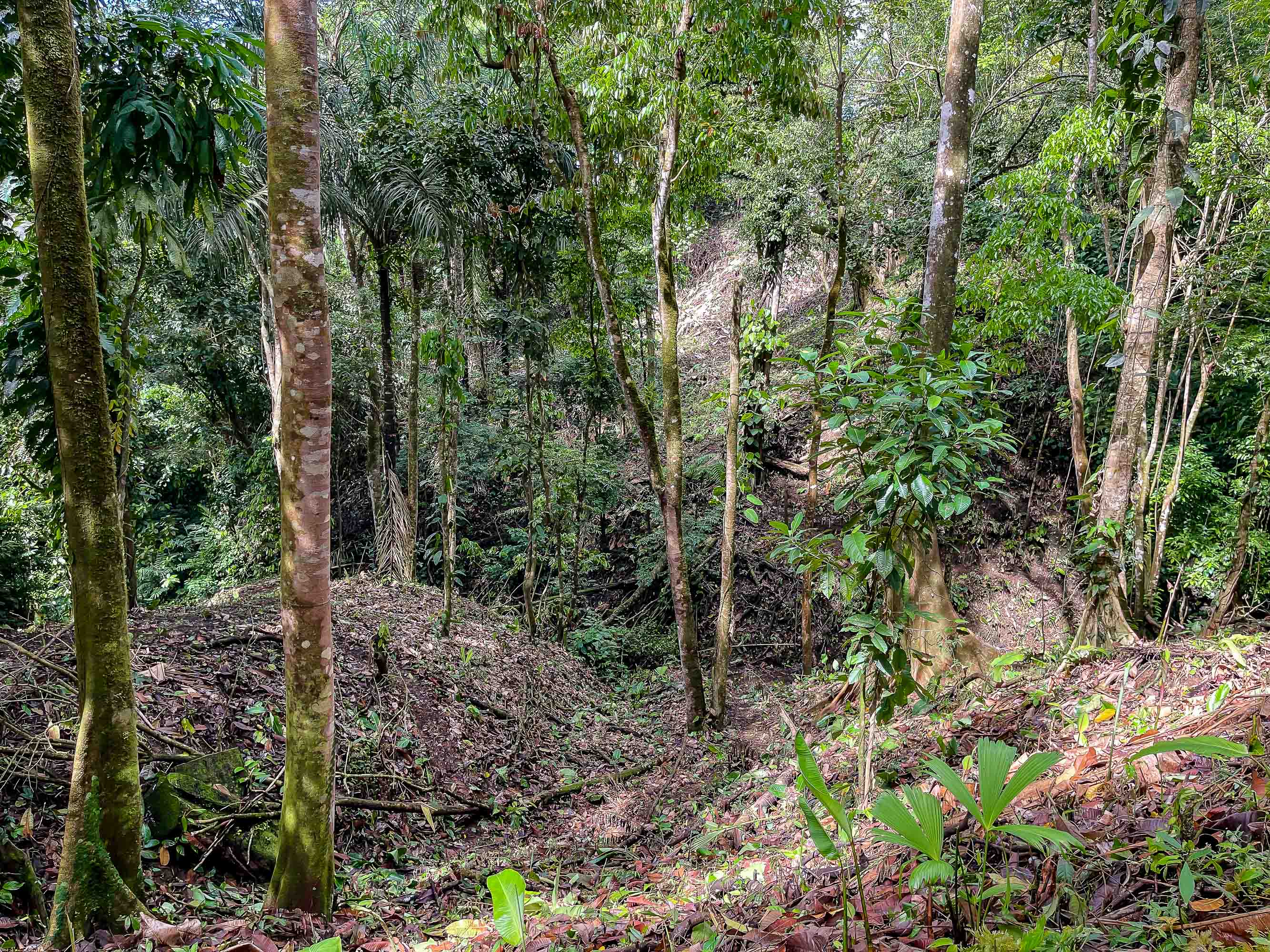 0 bed Land For Sale in Quepos, Puntarenas - thumb 6