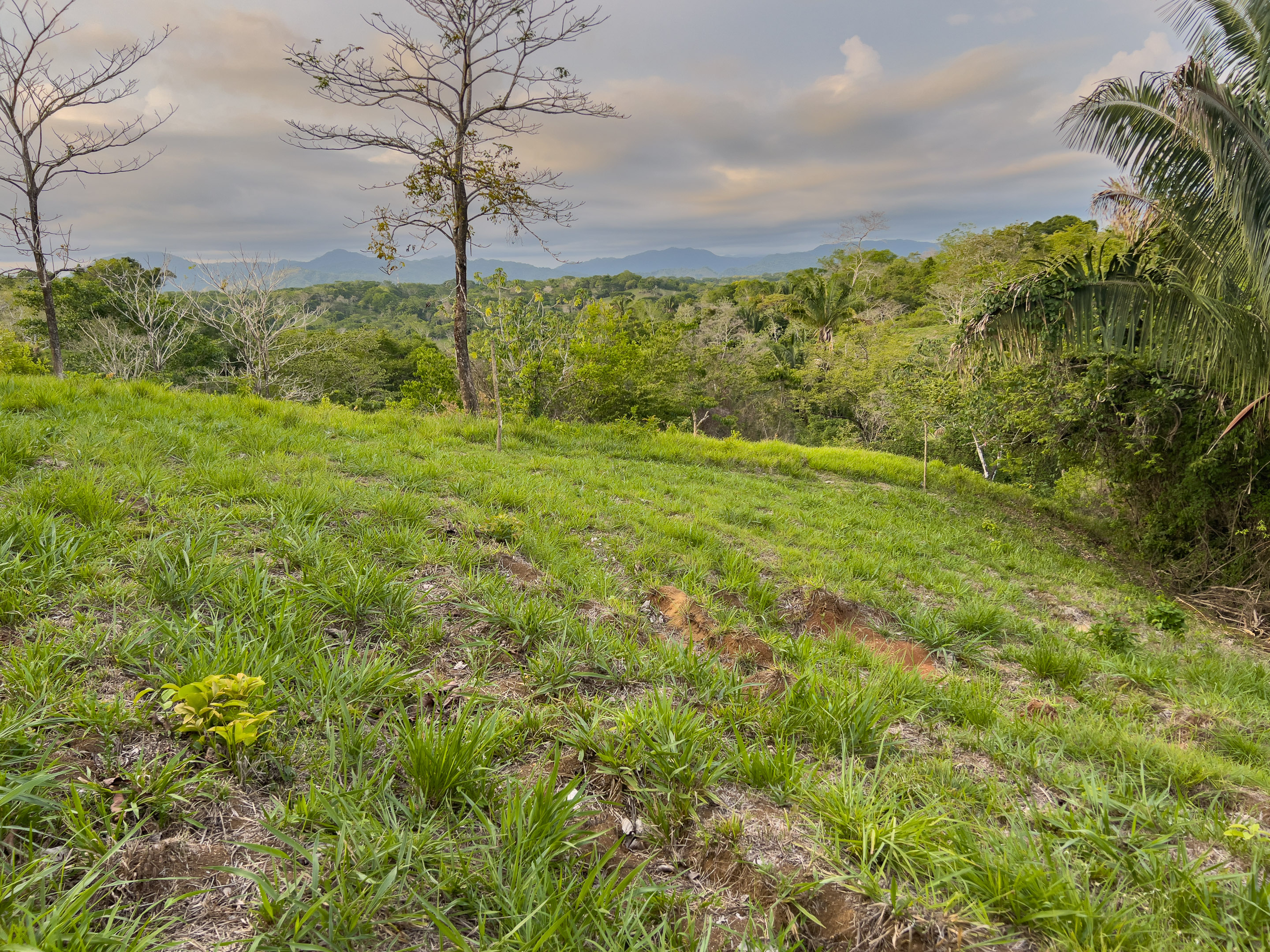 0 bed Land For Sale in Santiago, Puntarenas - thumb 2