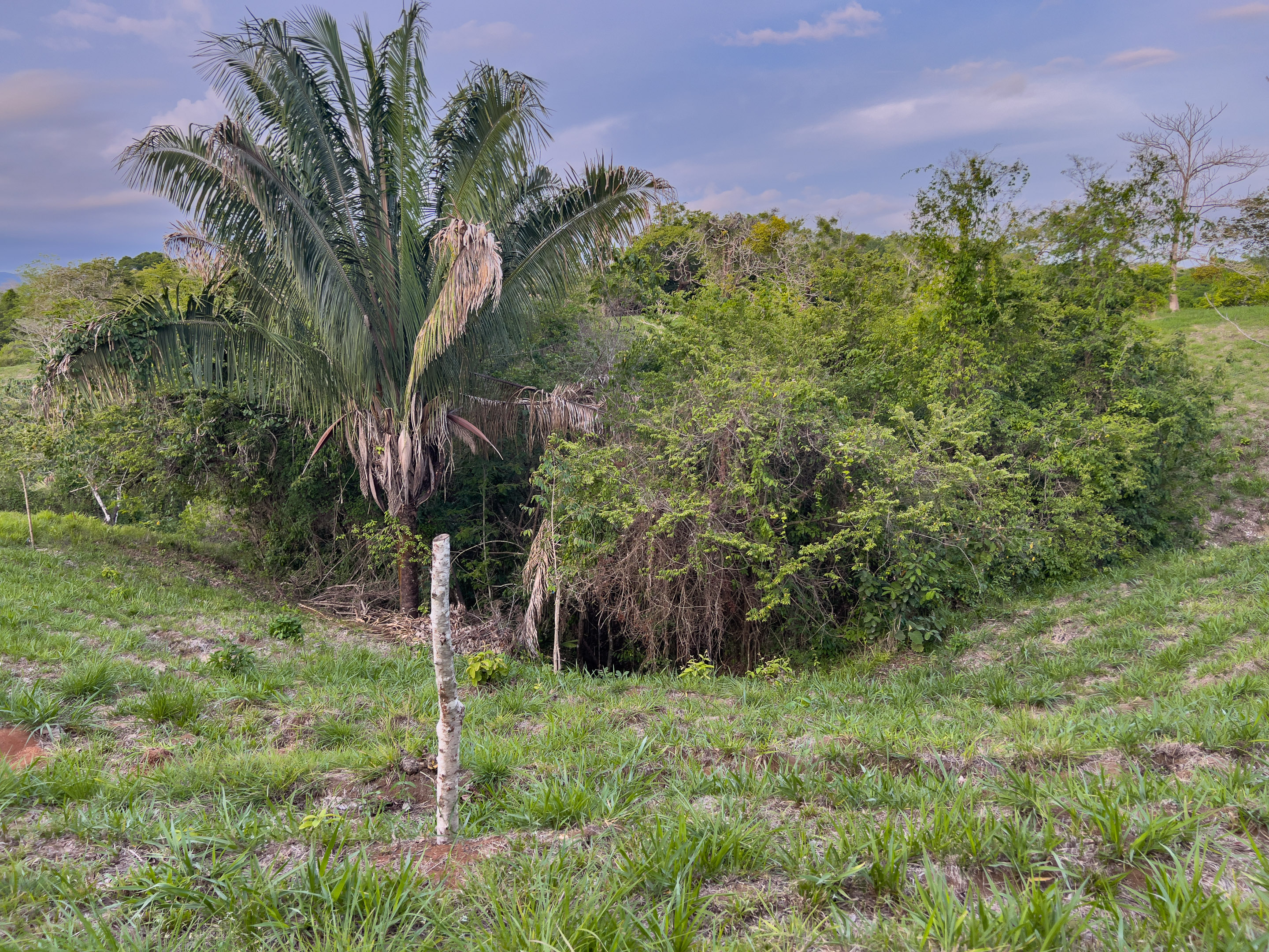0 bed Land For Sale in Santiago, Puntarenas - thumb 3