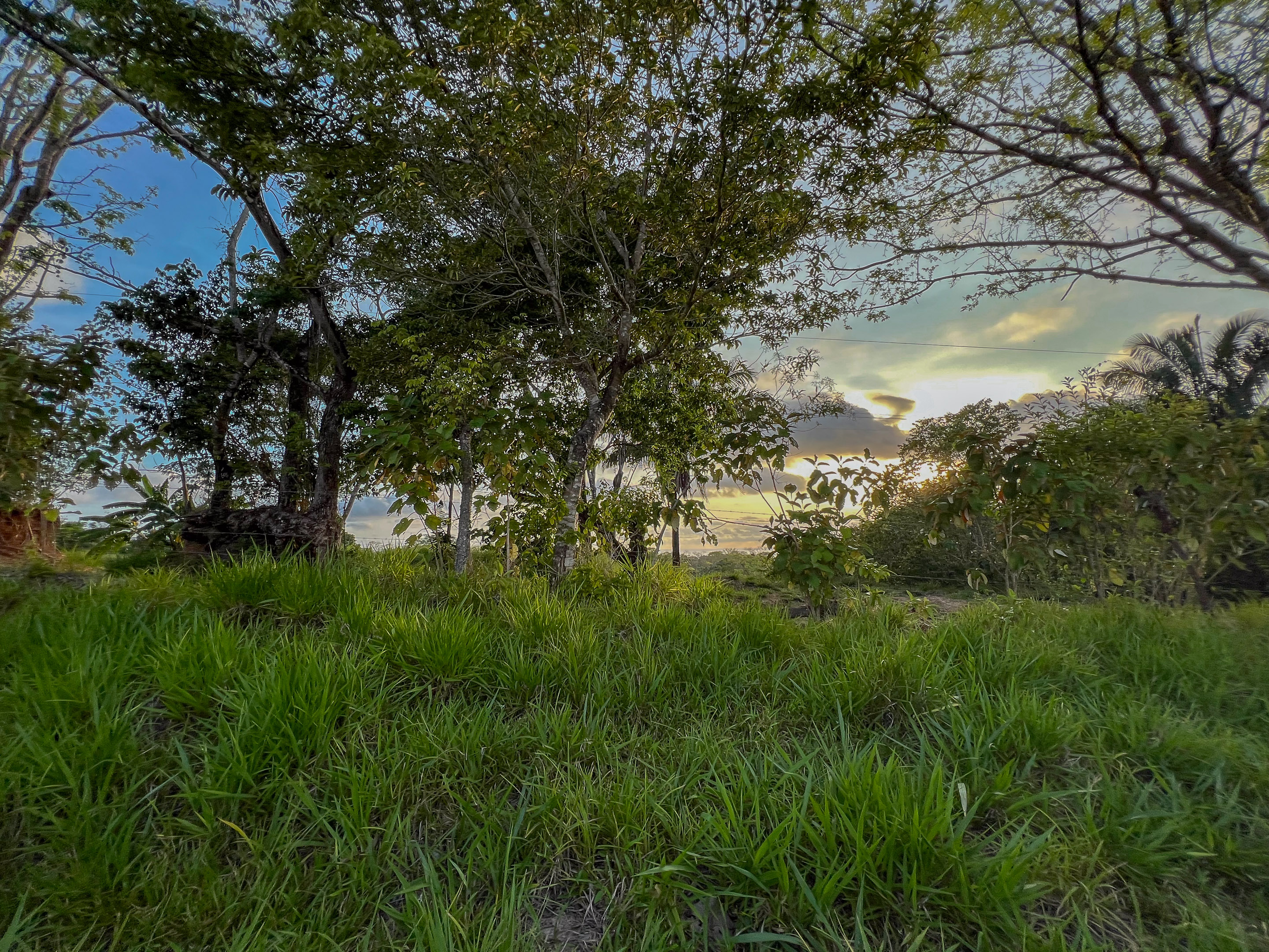 0 bed Land For Sale in Santiago, Puntarenas - thumb 9