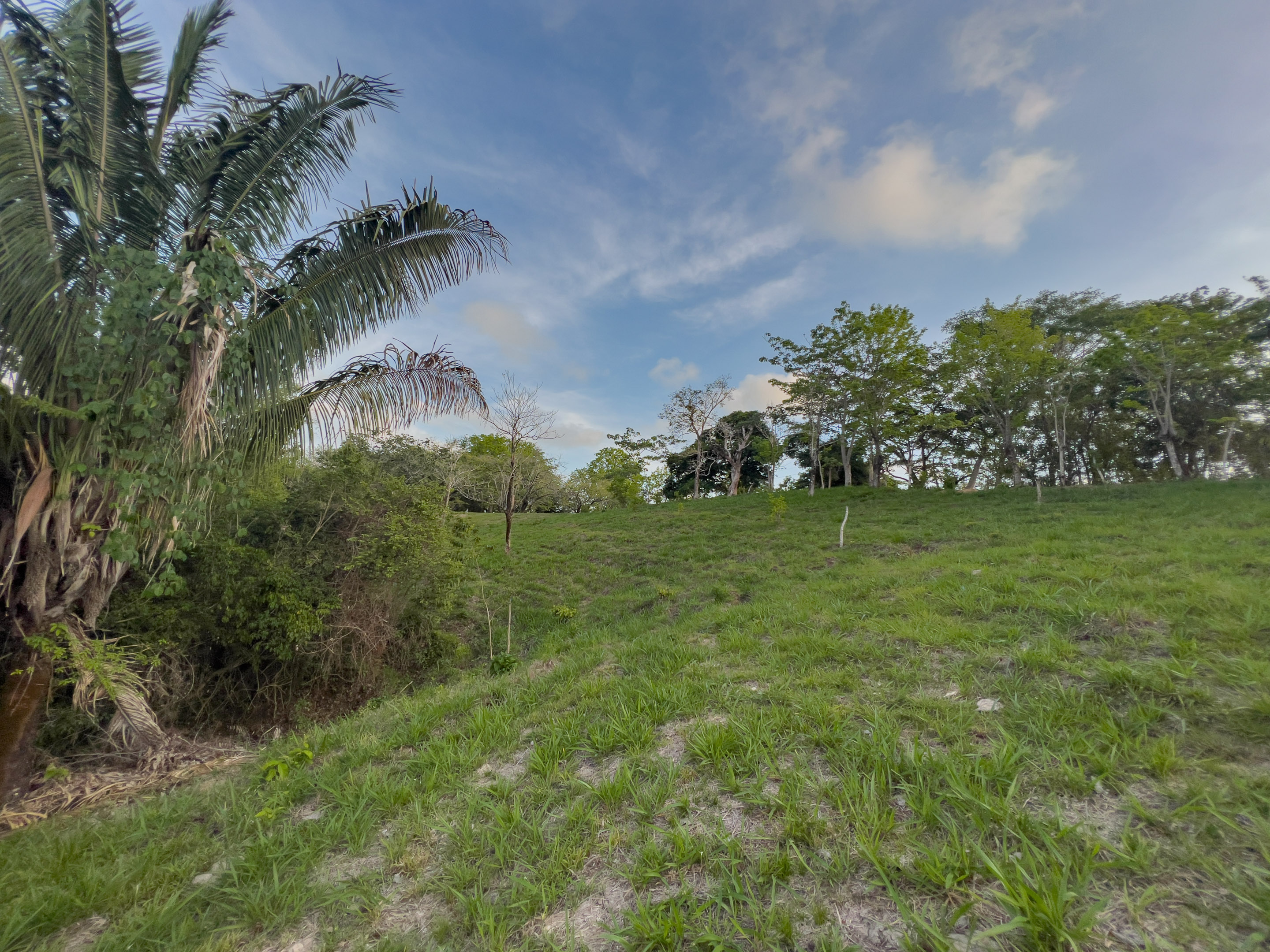 0 bed Land For Sale in Santiago, Puntarenas - thumb 7