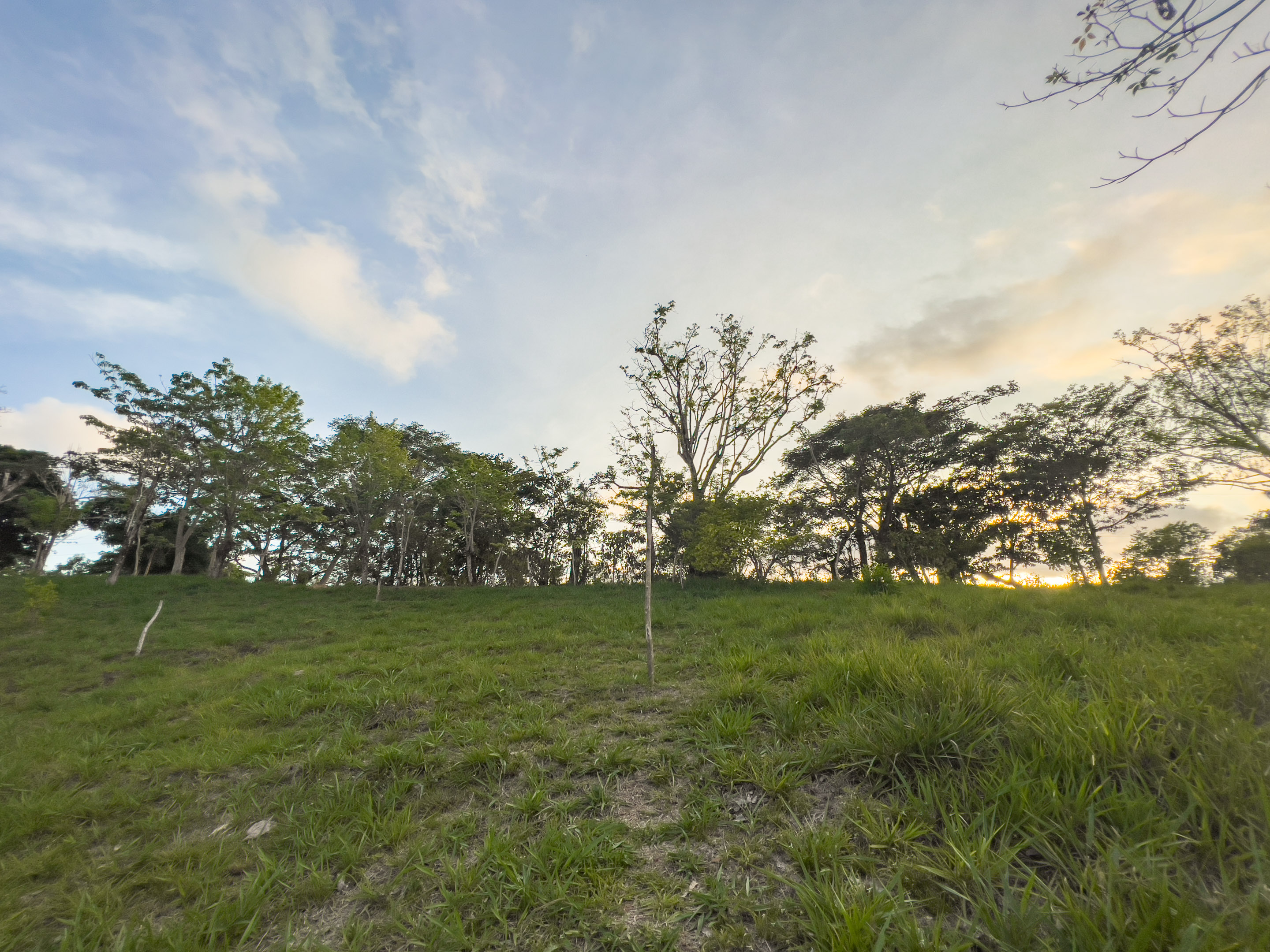 0 bed Land For Sale in Santiago, Puntarenas - thumb 8