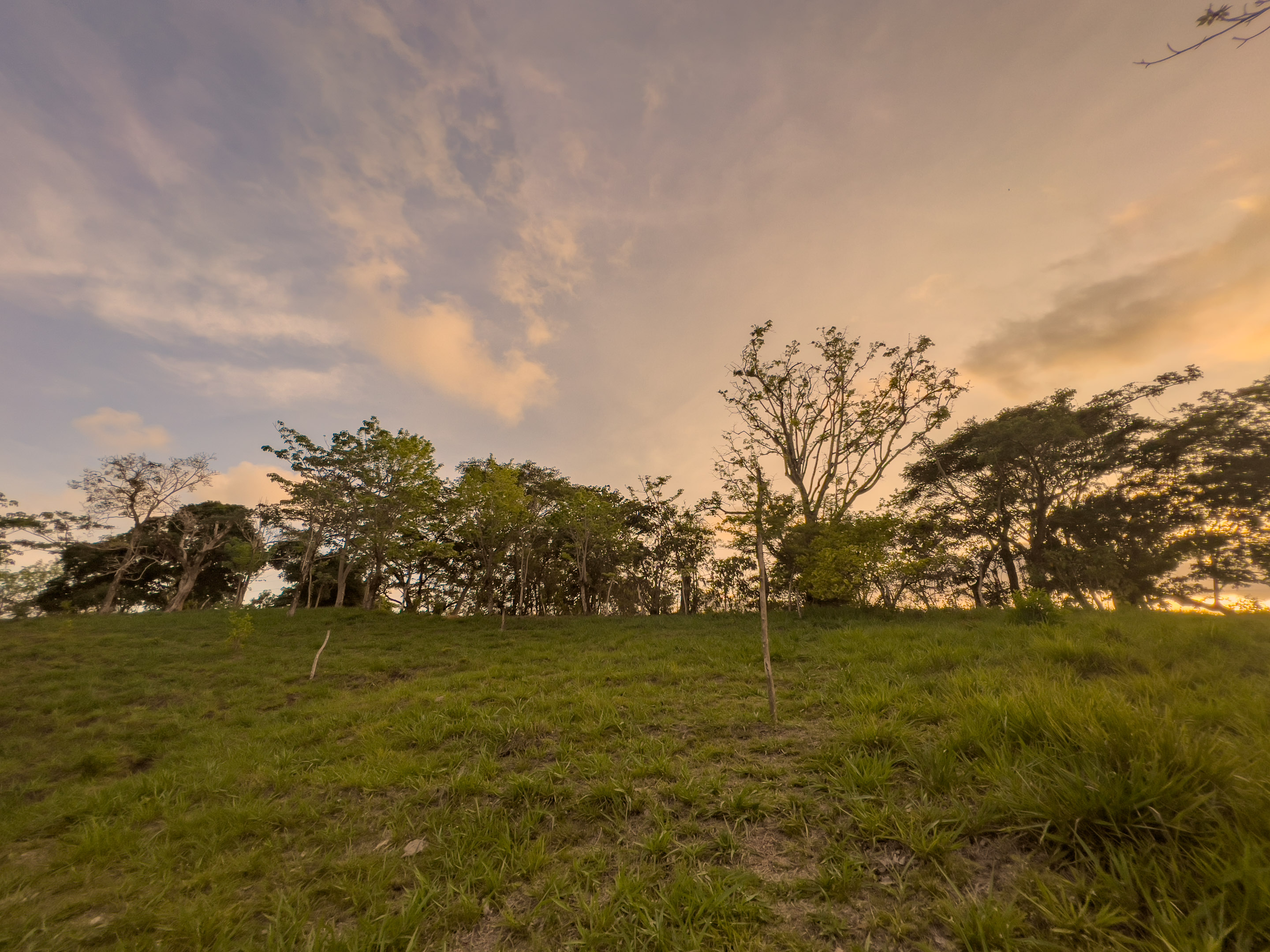 0 bed Land For Sale in Santiago, Puntarenas - thumb 6