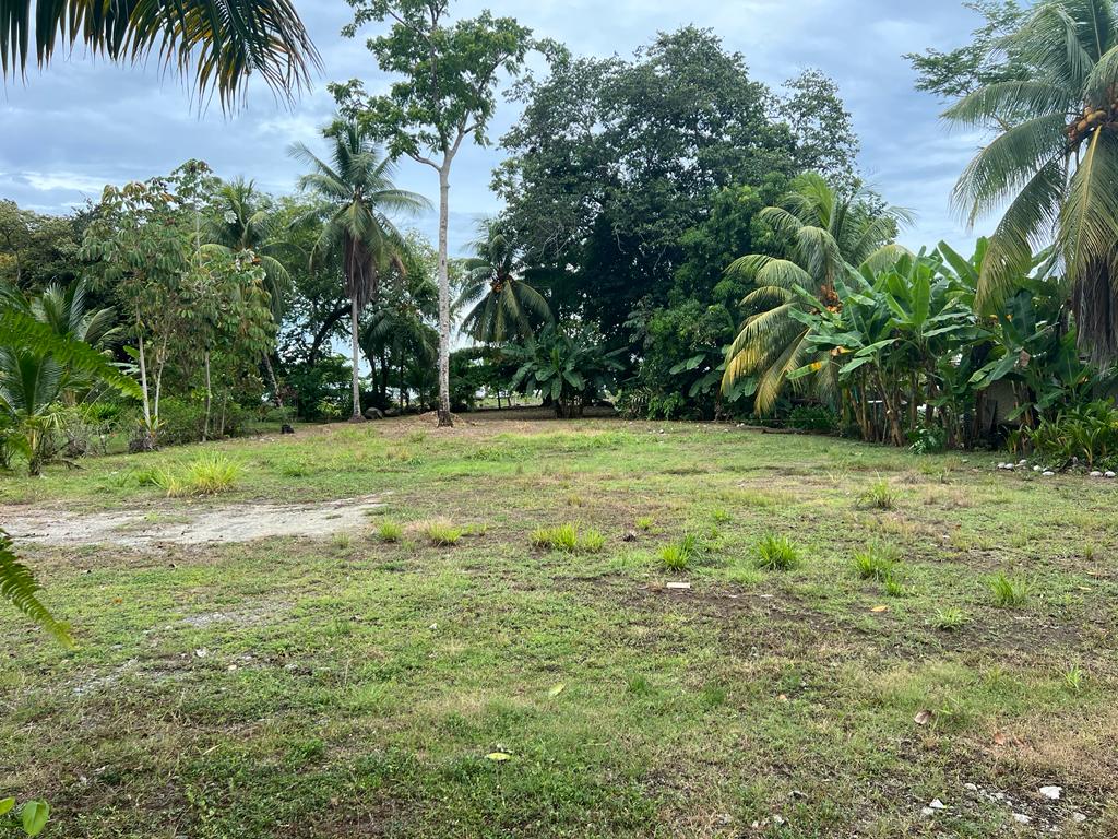 0 bed Land For Sale in Ojochal, Puntarenas - thumb 1