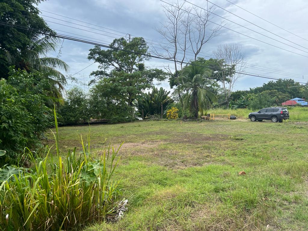 0 bed Land For Sale in Ojochal, Puntarenas - thumb 4