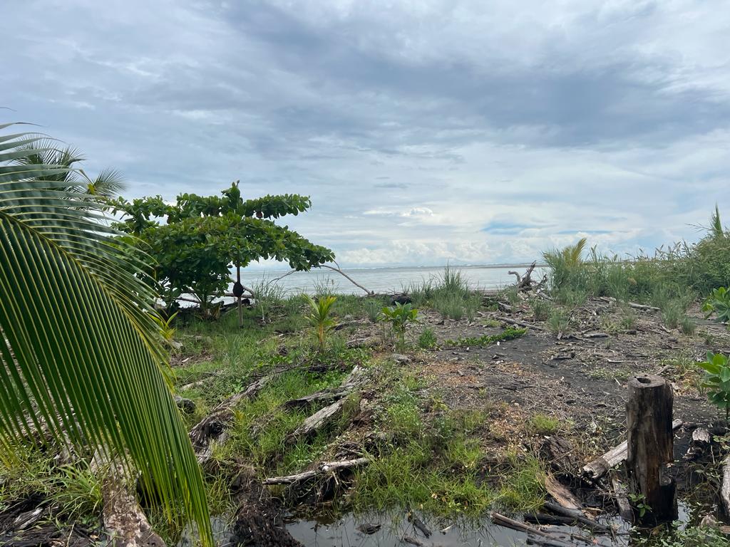 0 bed Land For Sale in Ojochal, Puntarenas - thumb 3