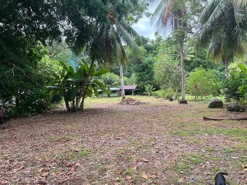 0 bed Land For Sale in Ojochal, Puntarenas - thumb 5