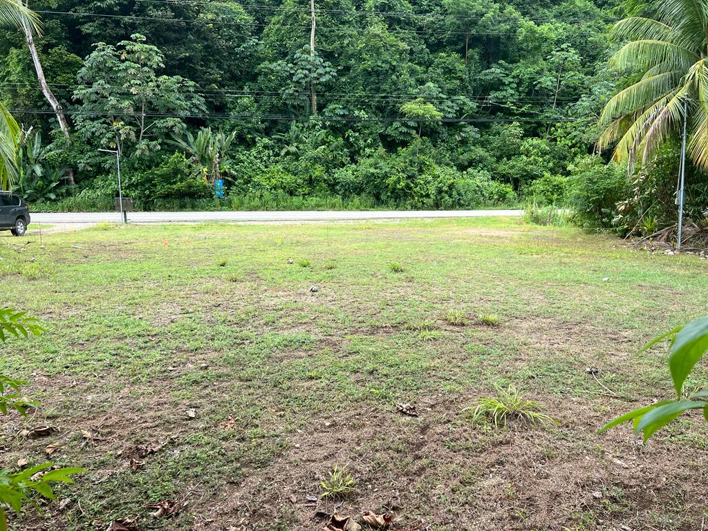 0 bed Land For Sale in Ojochal, Puntarenas - thumb 2
