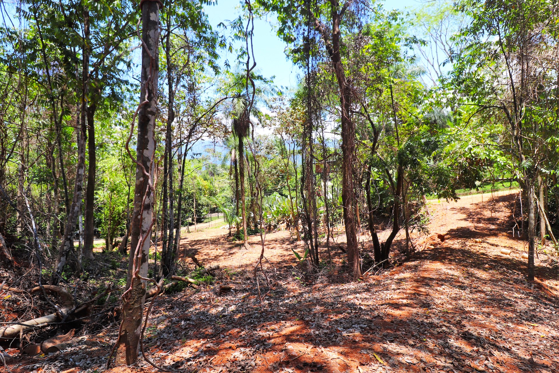 0 bed Land For Sale in Ojochal, Puntarenas - thumb 18
