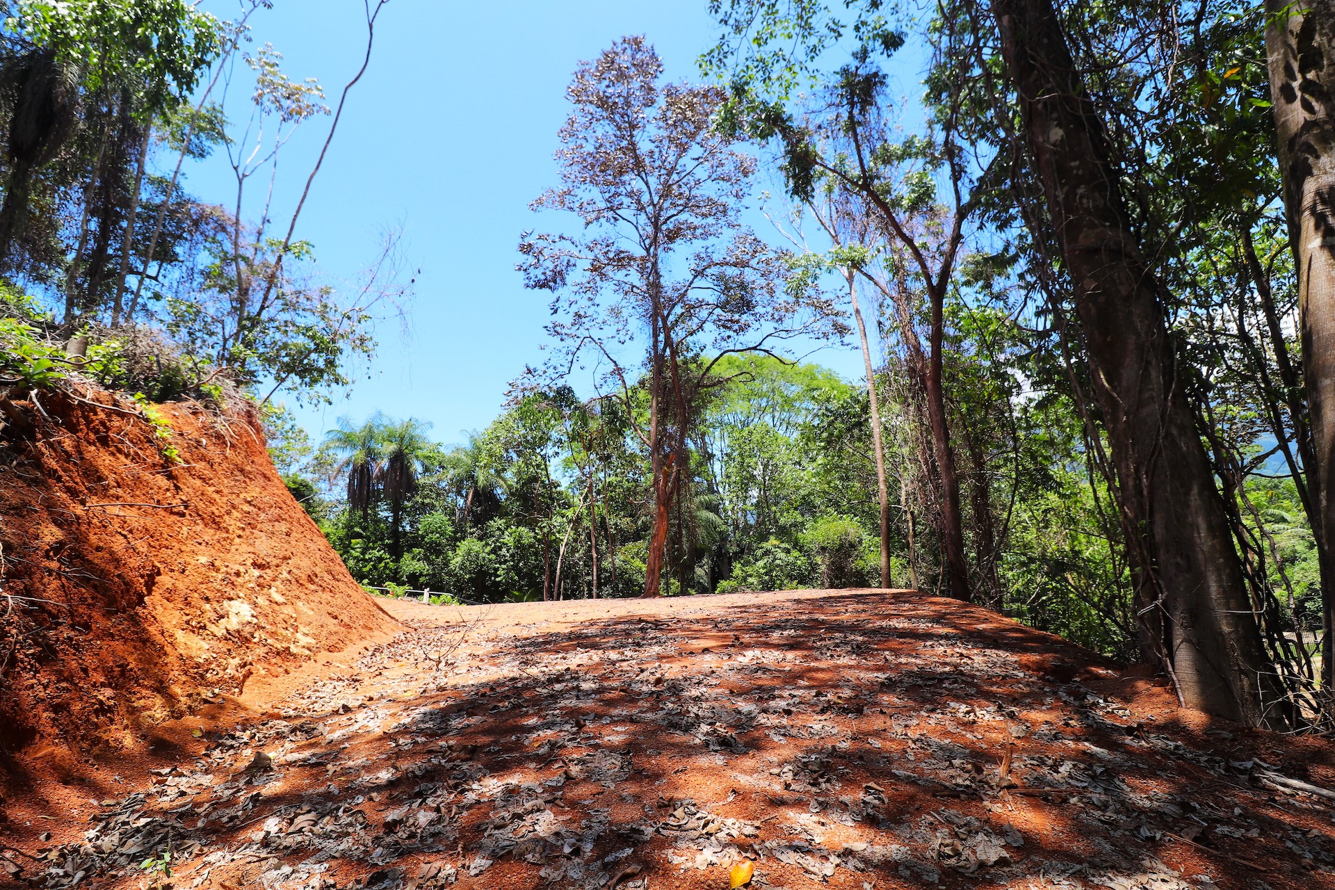 0 bed Land For Sale in Ojochal, Puntarenas - thumb 12