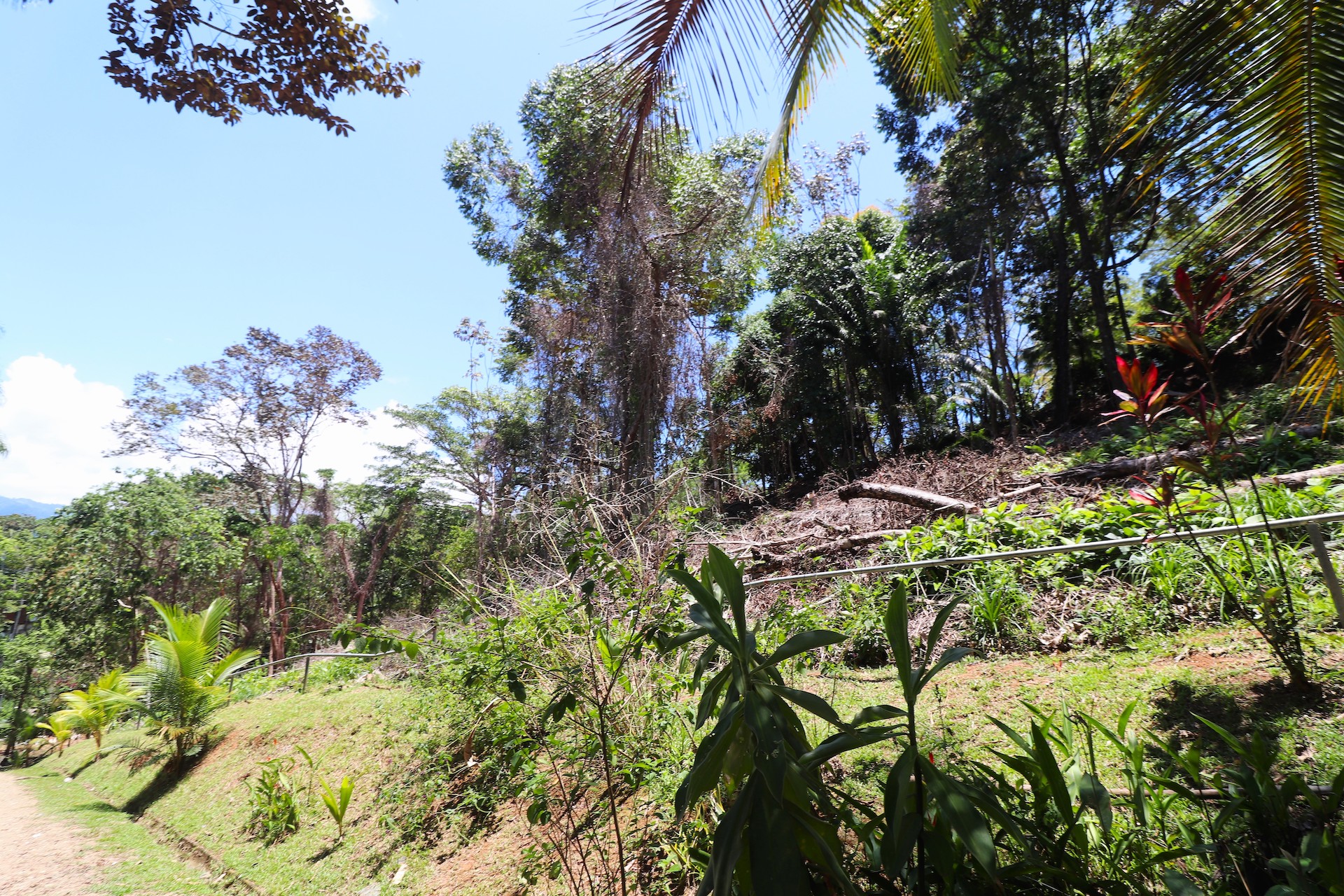 0 bed Land For Sale in Ojochal, Puntarenas - thumb 20