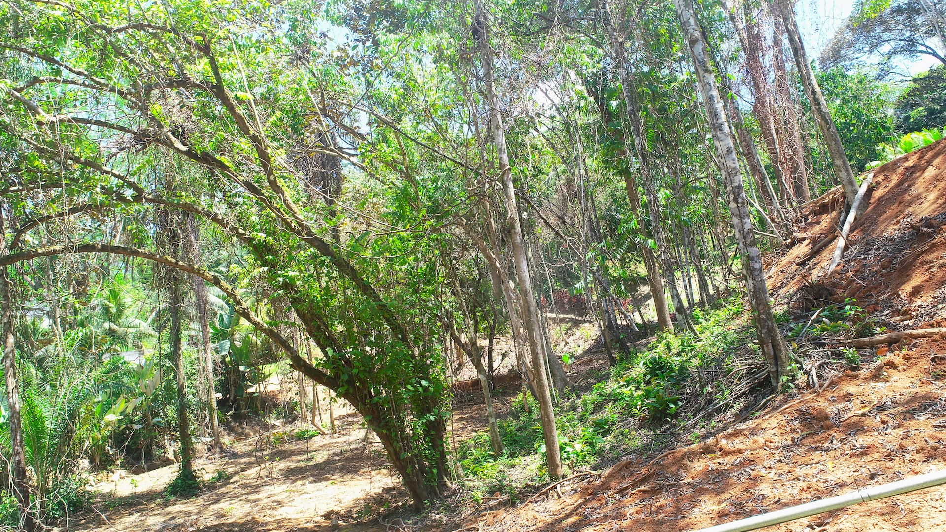 0 bed Land For Sale in Ojochal, Puntarenas - thumb 22