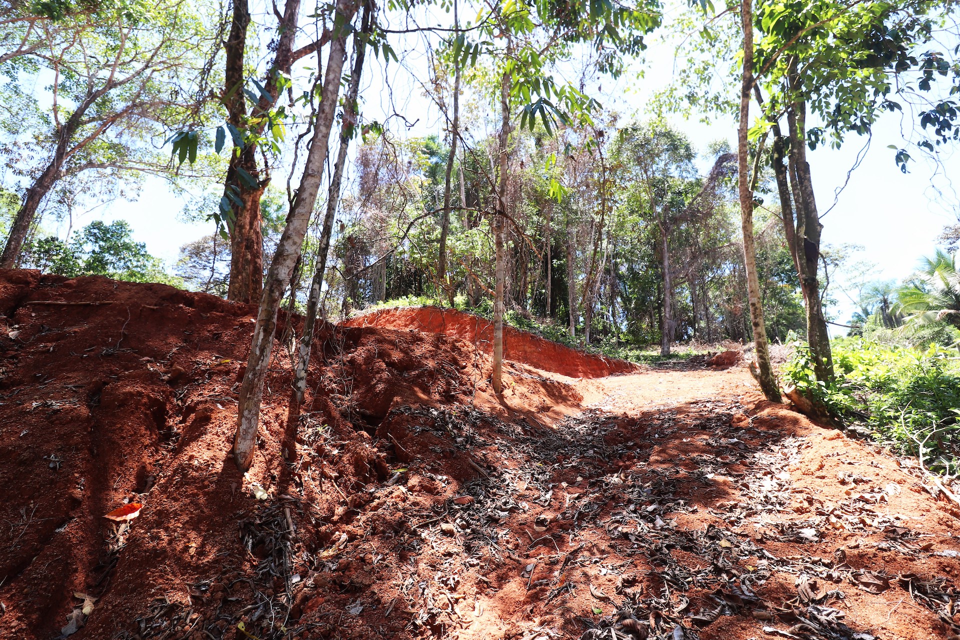 0 bed Land For Sale in Ojochal, Puntarenas - thumb 16