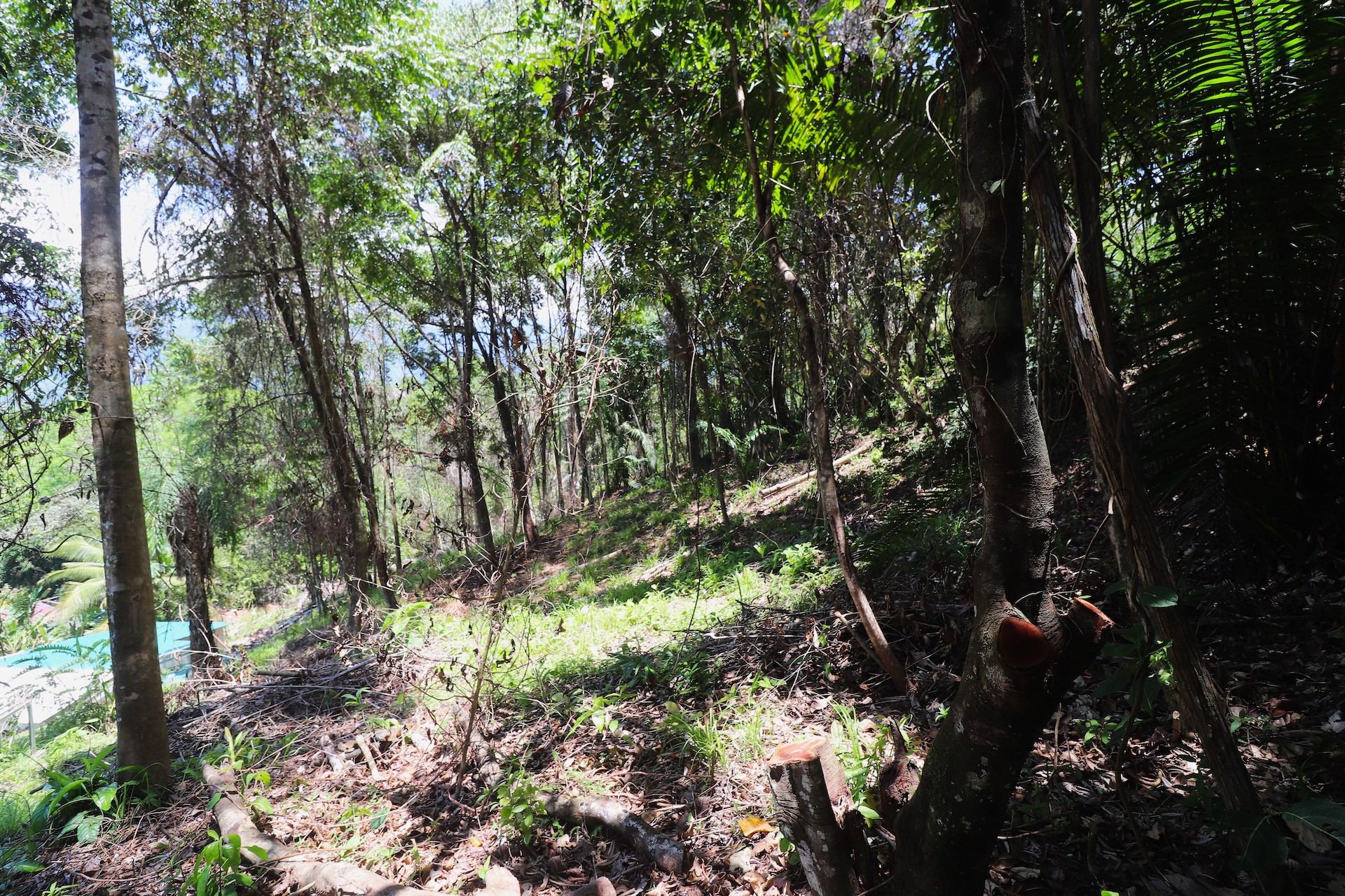 0 bed Land For Sale in Ojochal, Puntarenas - thumb 23