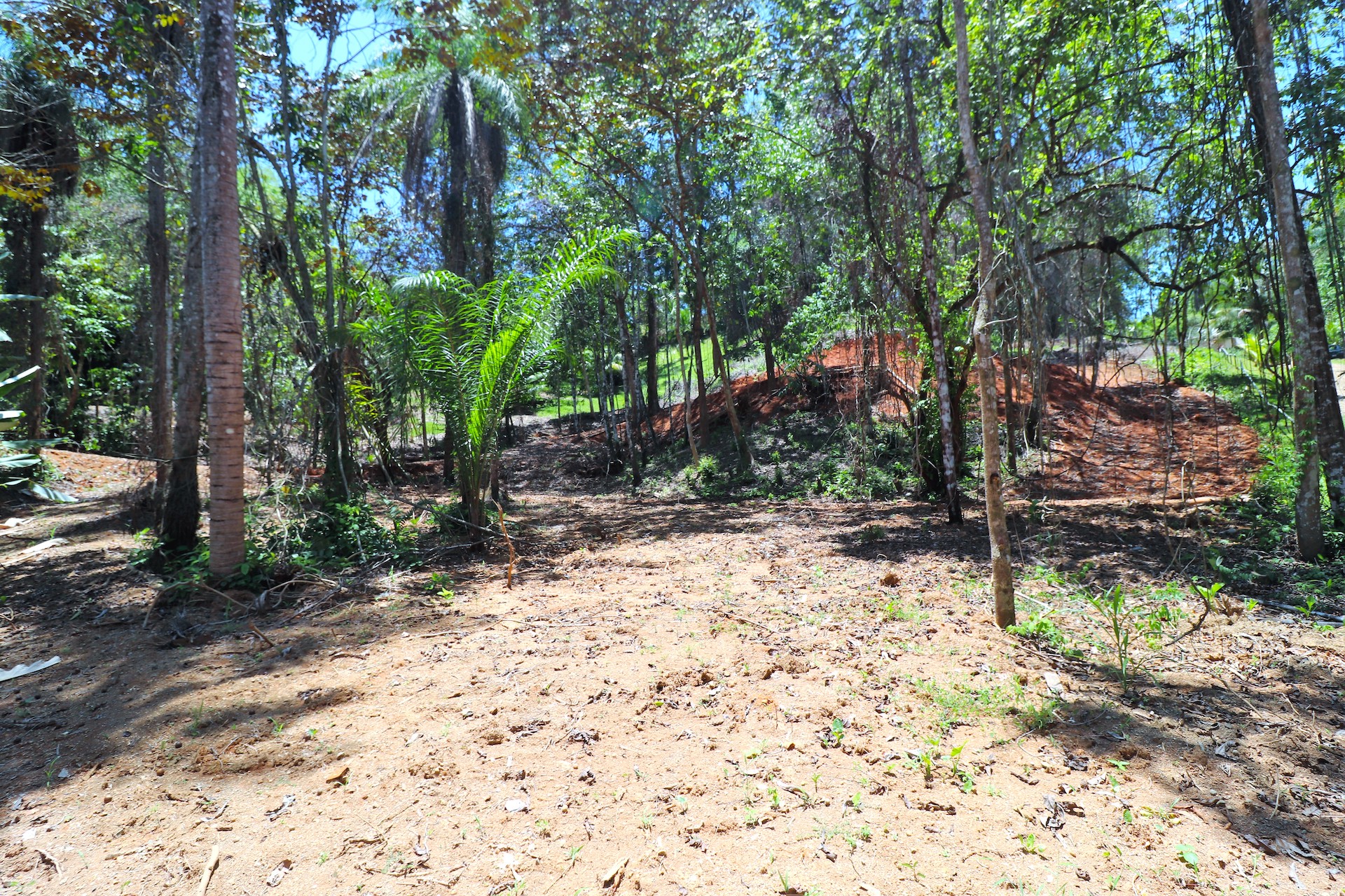 0 bed Land For Sale in Ojochal, Puntarenas - thumb 9