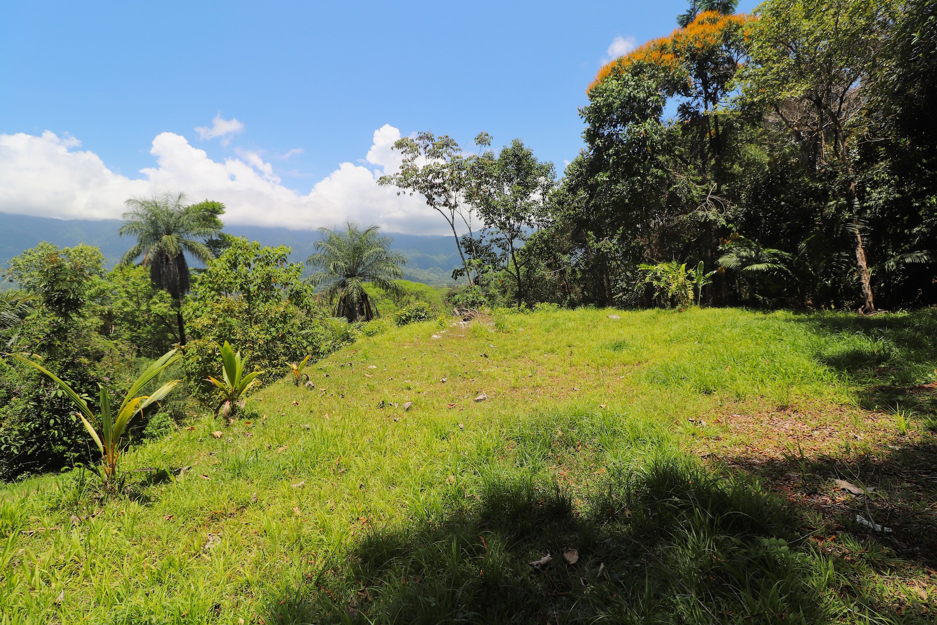 0 bed Land For Sale in Ojochal, Puntarenas - thumb 3