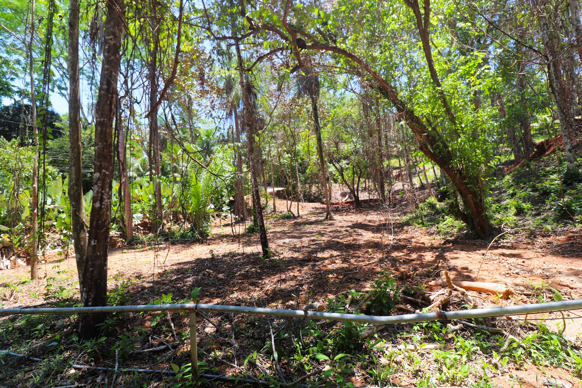 0 bed Land For Sale in Ojochal, Puntarenas - thumb 15