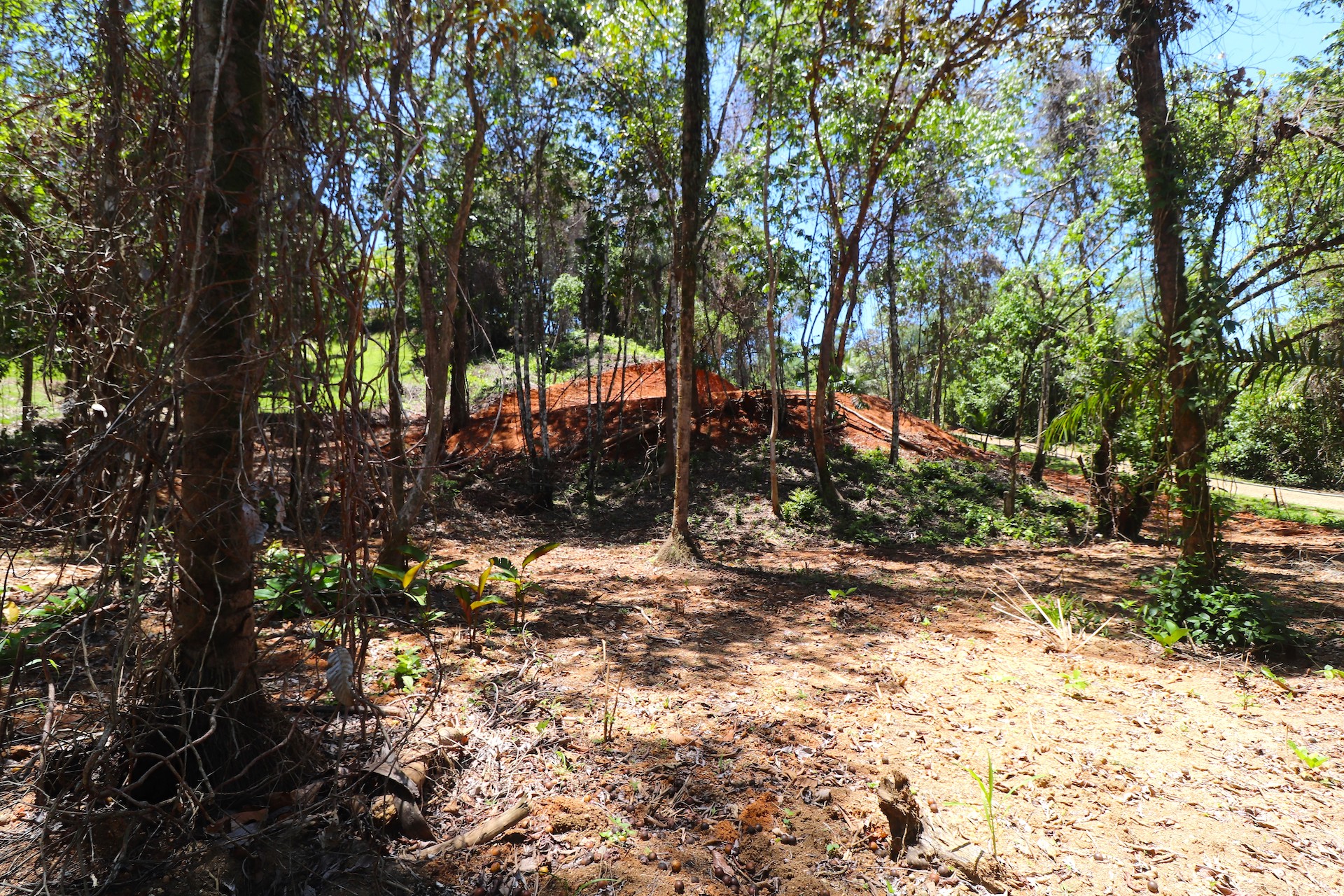 0 bed Land For Sale in Ojochal, Puntarenas - thumb 11