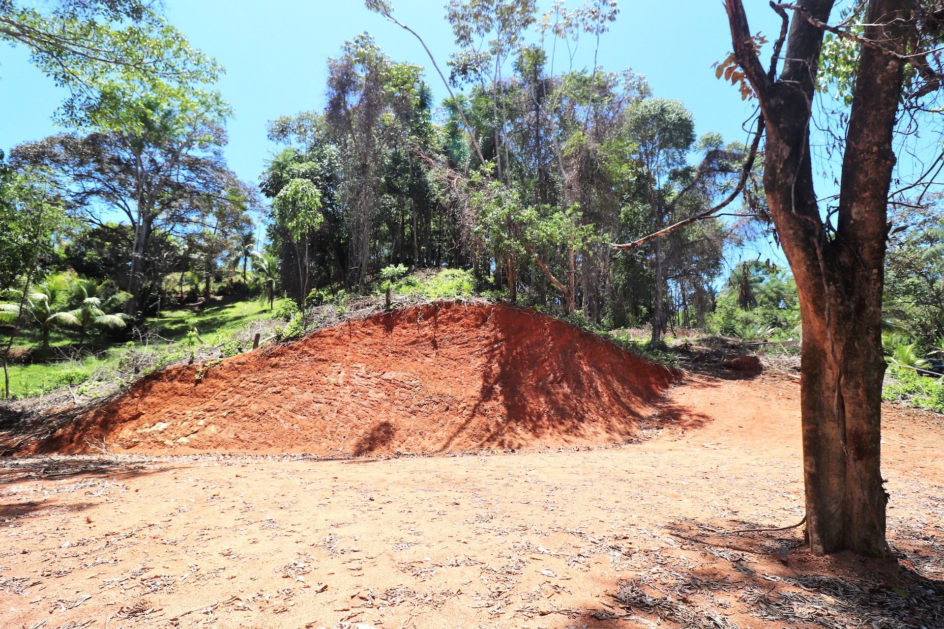 0 bed Land For Sale in Ojochal, Puntarenas - thumb 14