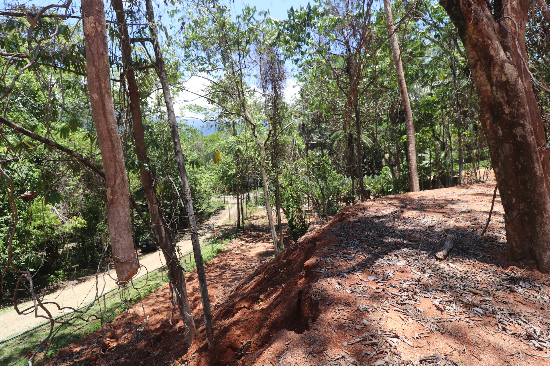 0 bed Land For Sale in Ojochal, Puntarenas - thumb 19