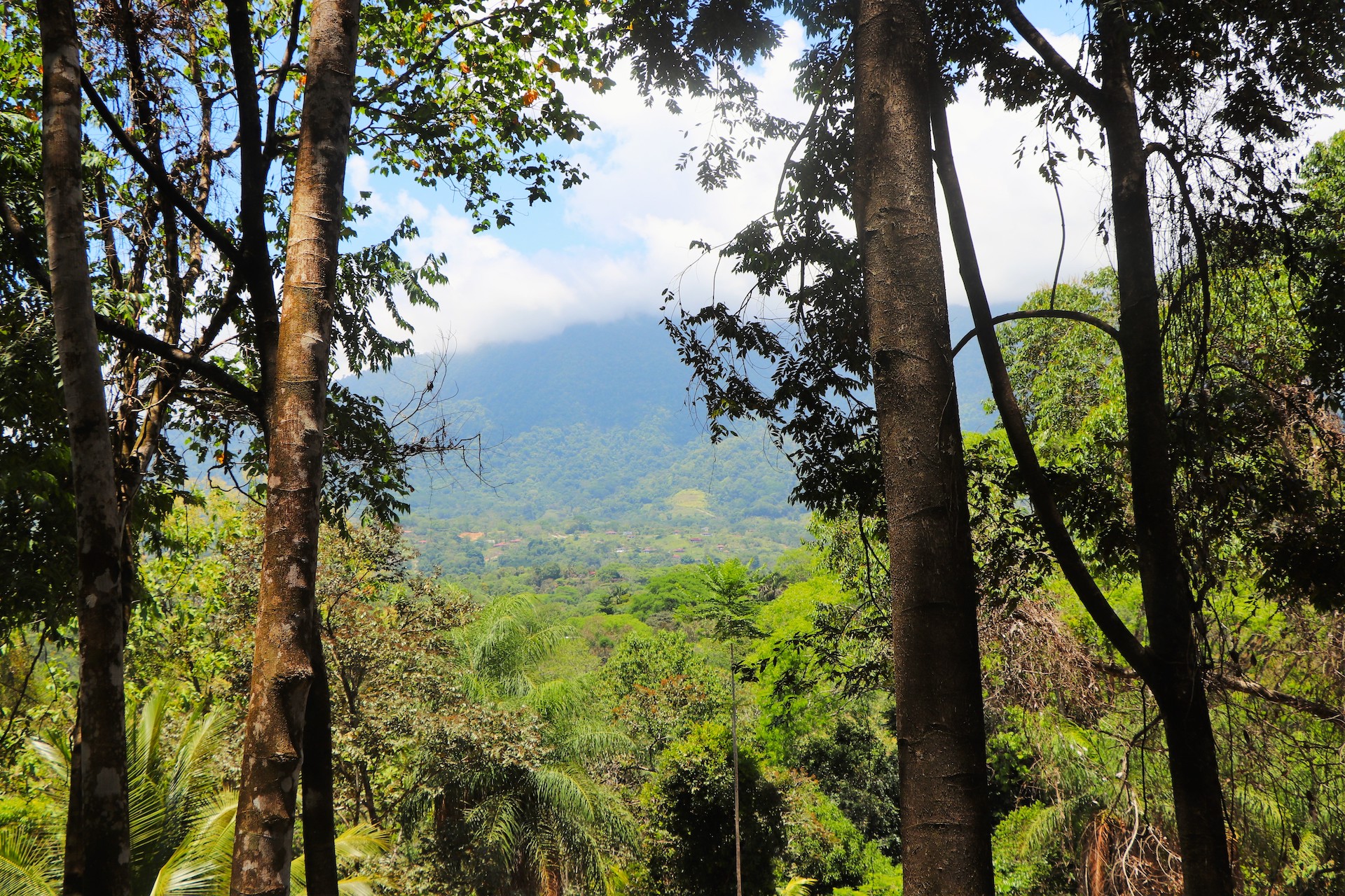 0 bed Land For Sale in Ojochal, Puntarenas - thumb 24