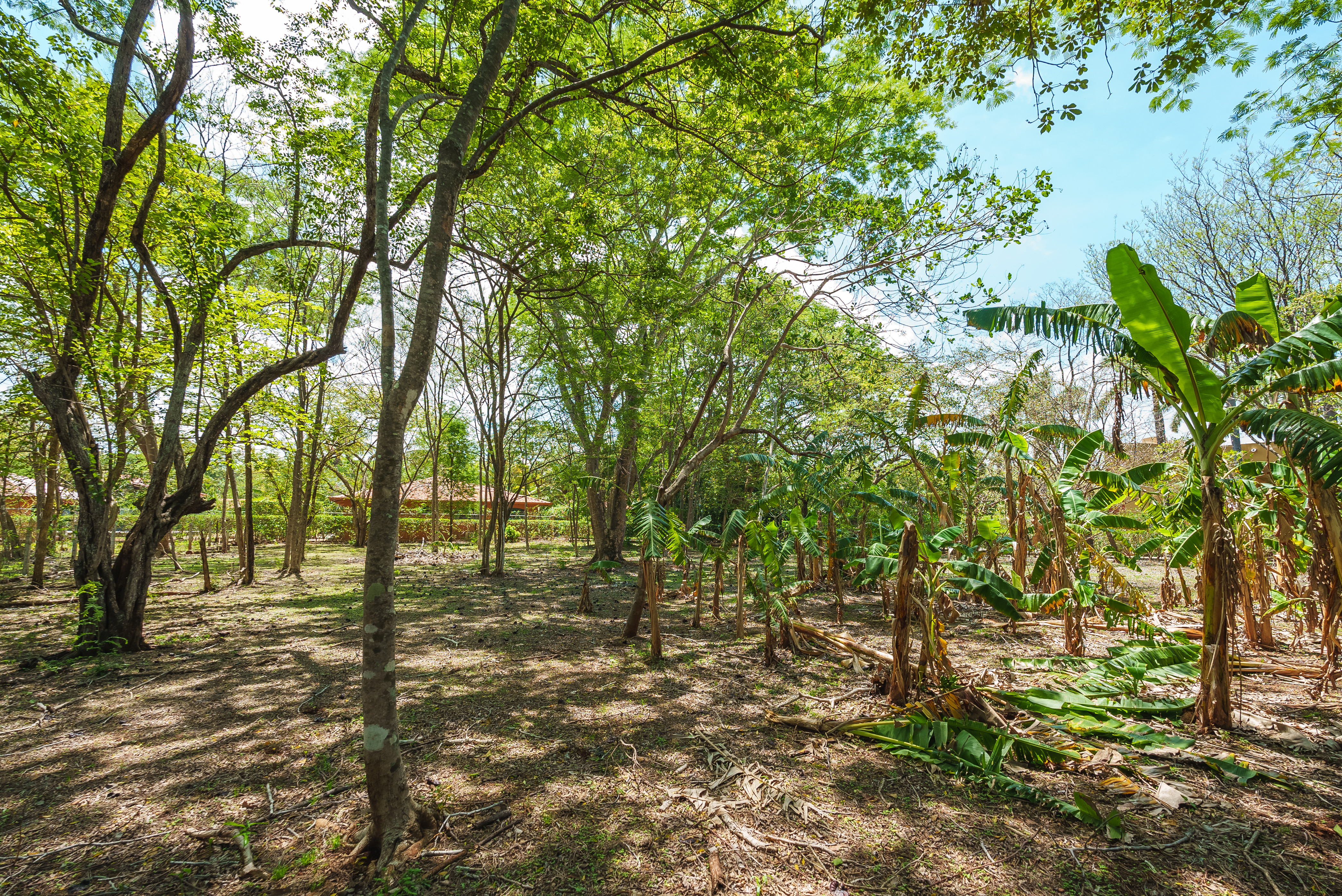 2 bed Single Family Homes For Sale in Junquillal, Guanacaste - thumb 22