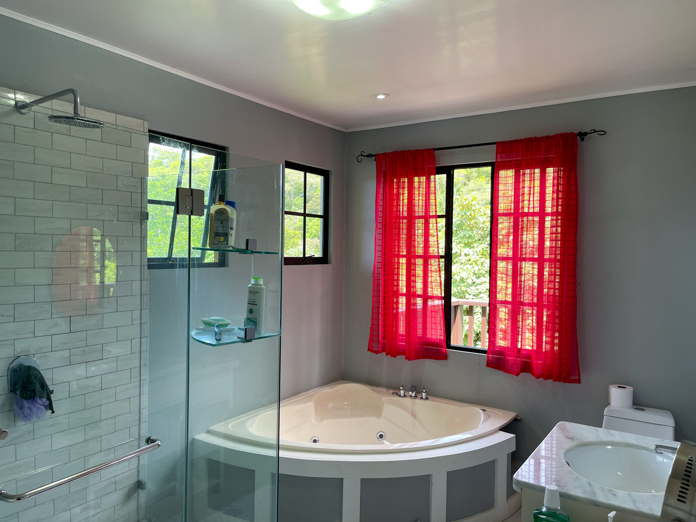 3 bed Single Family Homes For Sale in Perez Zeledon, San Jose - thumb 15